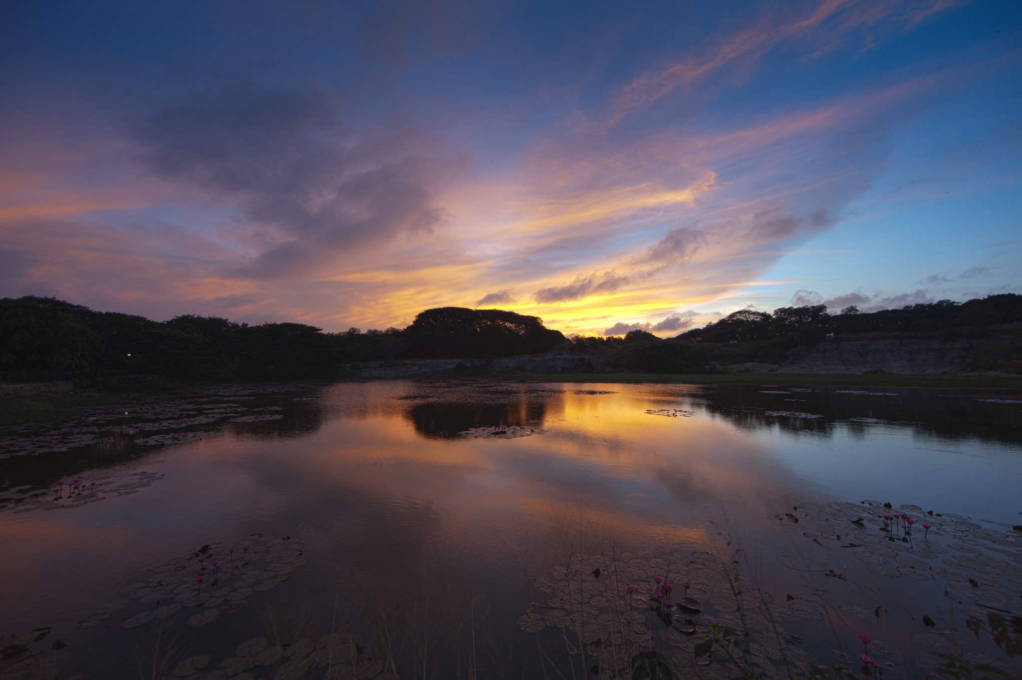 Canon EF 14mm F2.8L II USM sample photo. Lalbaug lake photography