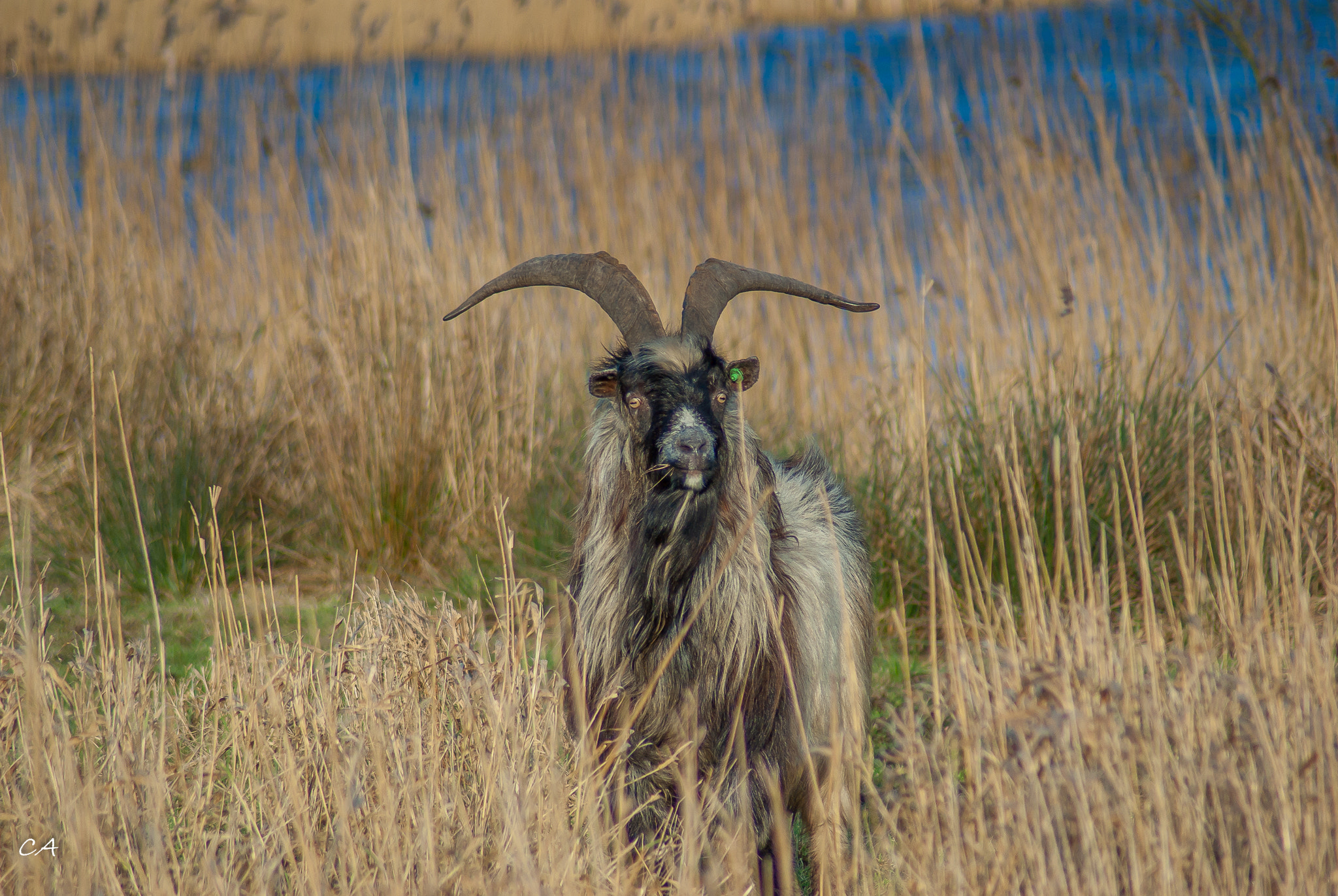 Tamron AF 70-300mm F4-5.6 Di LD Macro sample photo