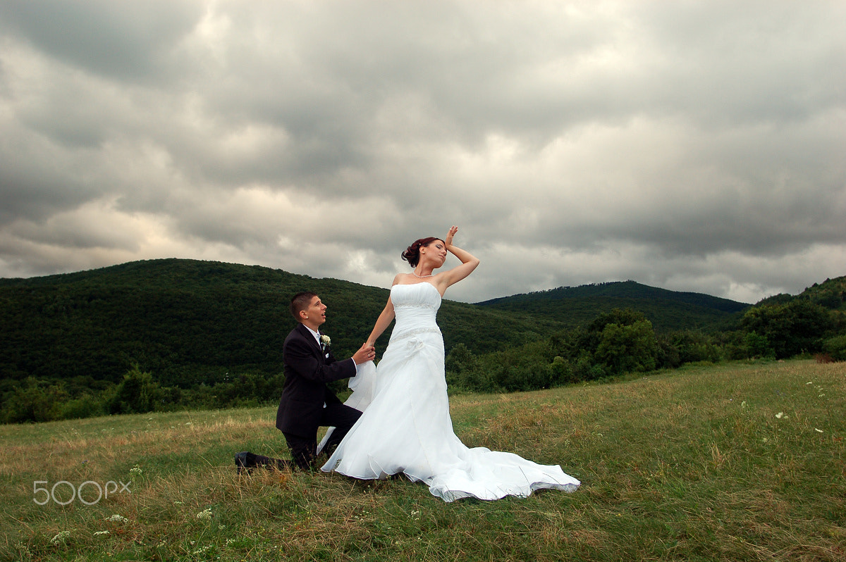 Nikon D50 sample photo. L&s 2010 photography