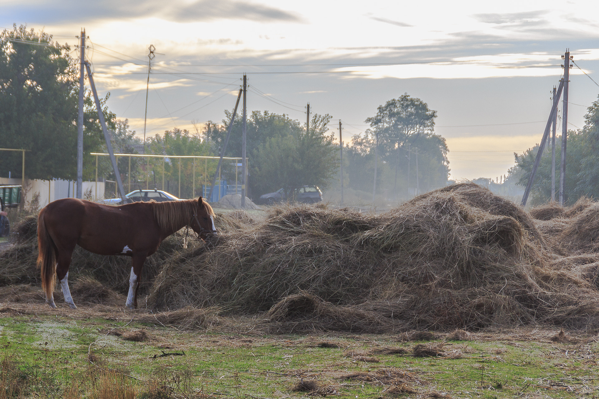 Canon EOS 650D (EOS Rebel T4i / EOS Kiss X6i) sample photo. Morning photography