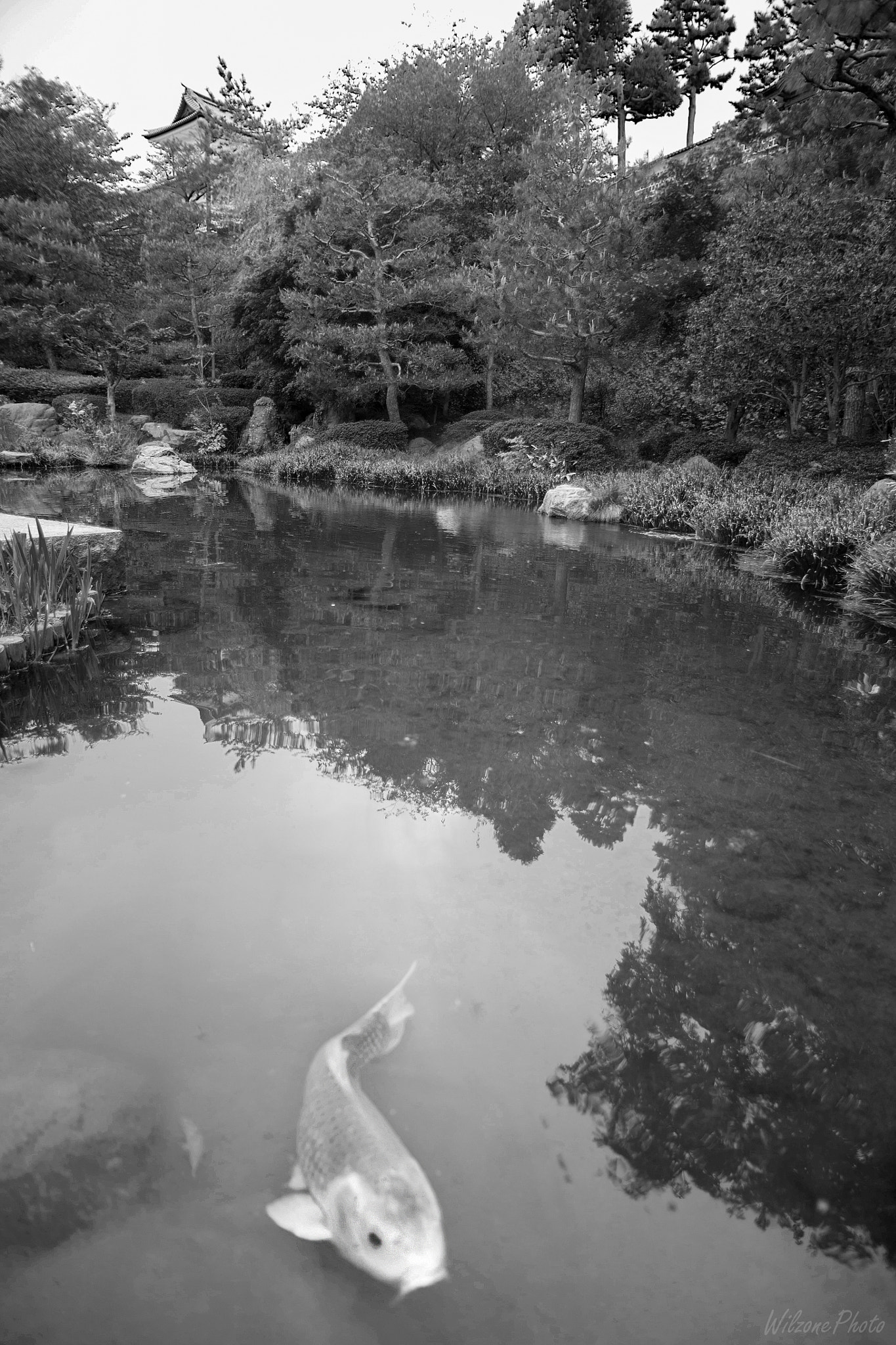 Tamron AF 19-35mm f/3.5-4.5 sample photo. Kanazawa 072 photography