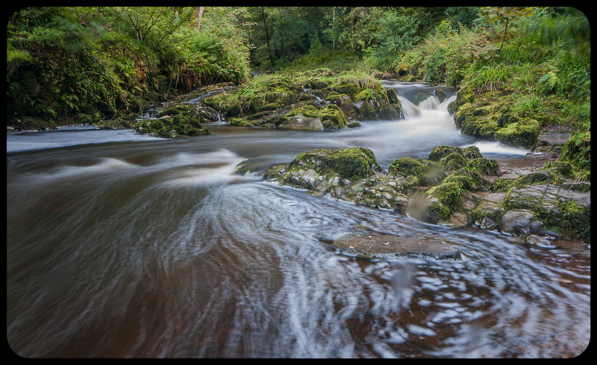 Canon EOS 1000D (EOS Digital Rebel XS / EOS Kiss F) + Sigma 10-20mm F4-5.6 EX DC HSM sample photo. National park exmoor,east lyn river photography