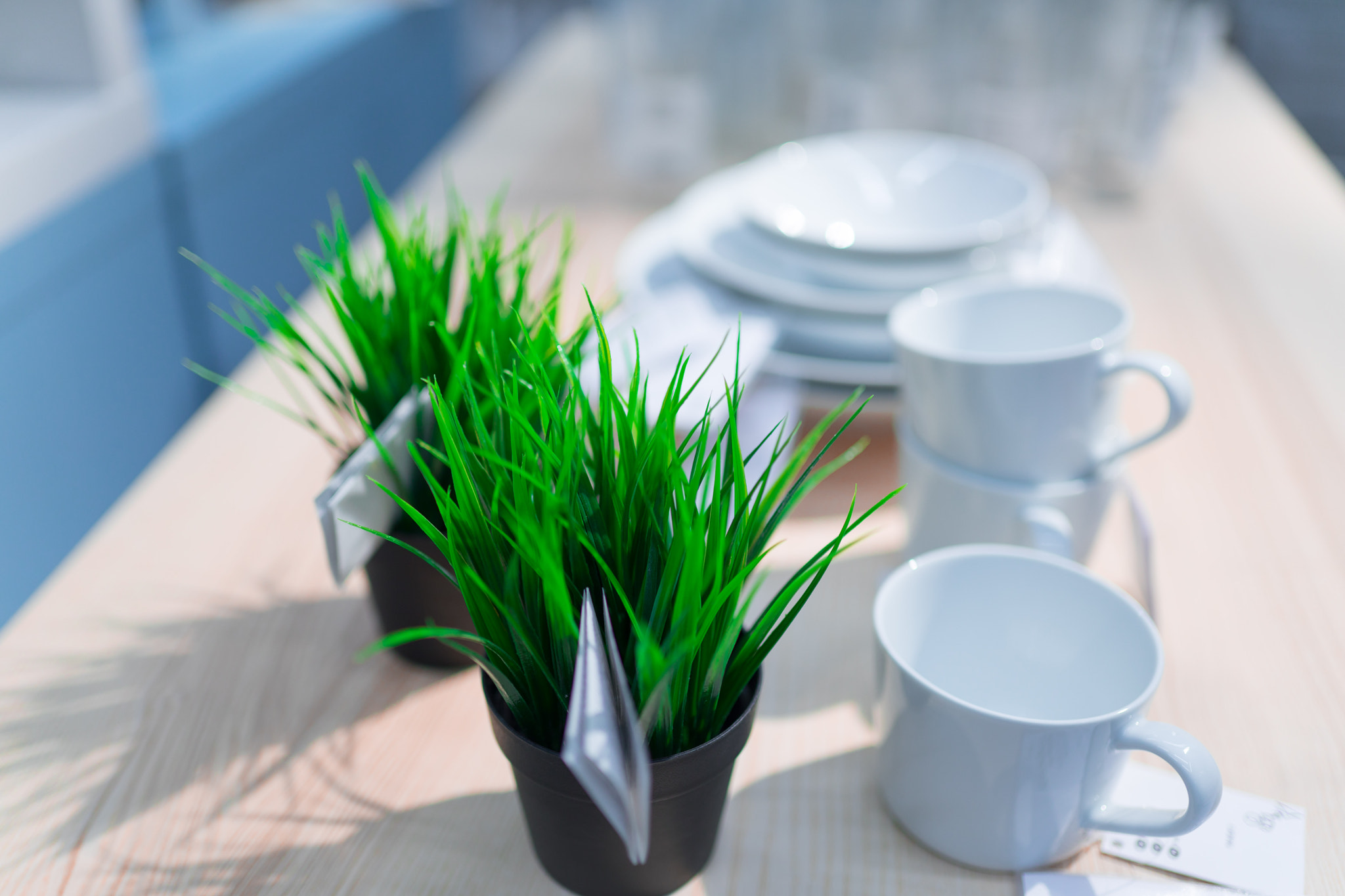 Sigma 35mm F1.4 DG HSM Art sample photo. Green photography