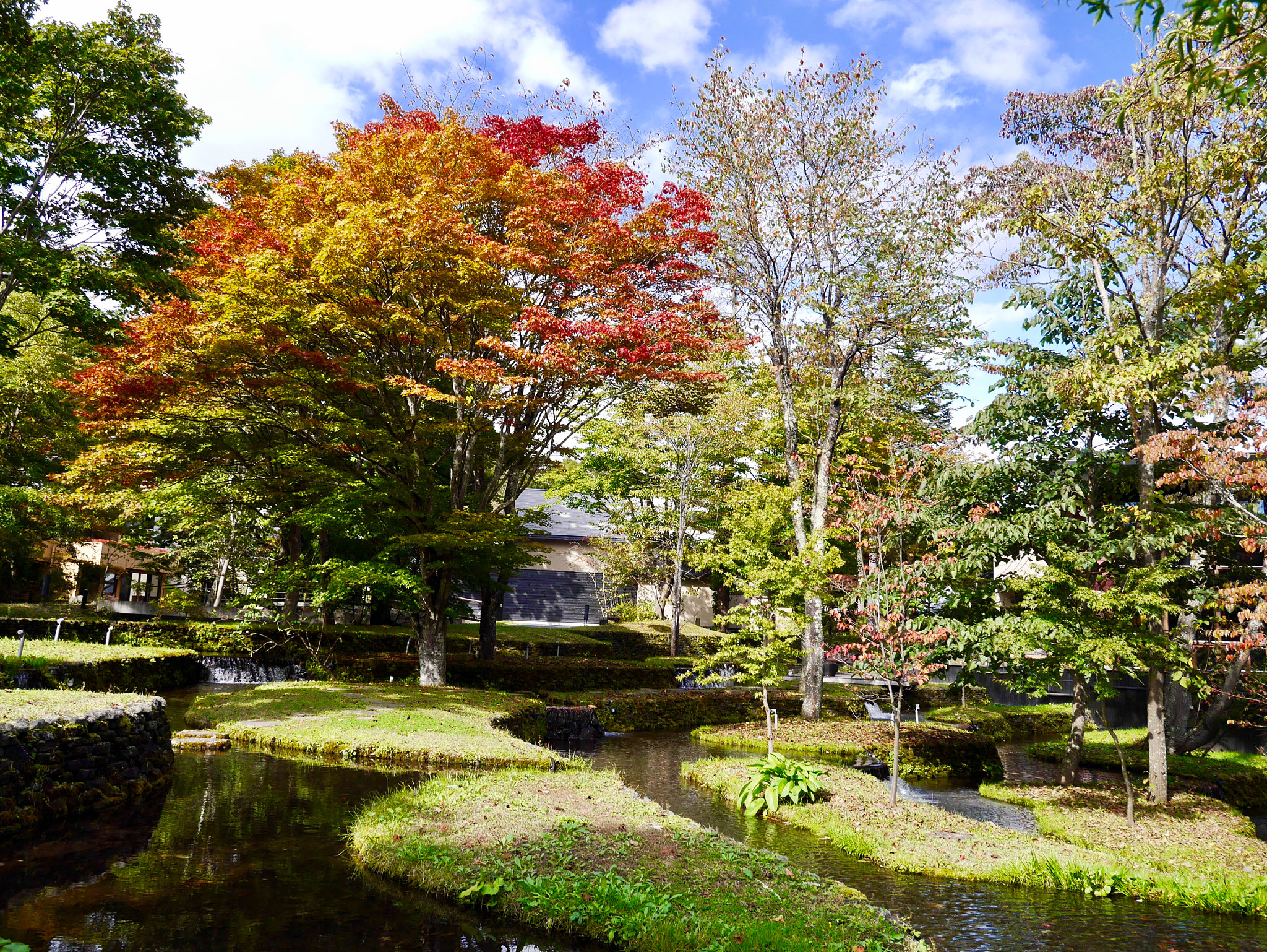 LUMIX G VARIO PZ 14-42/F3.5-5.6 sample photo. Autumn fine day! photography