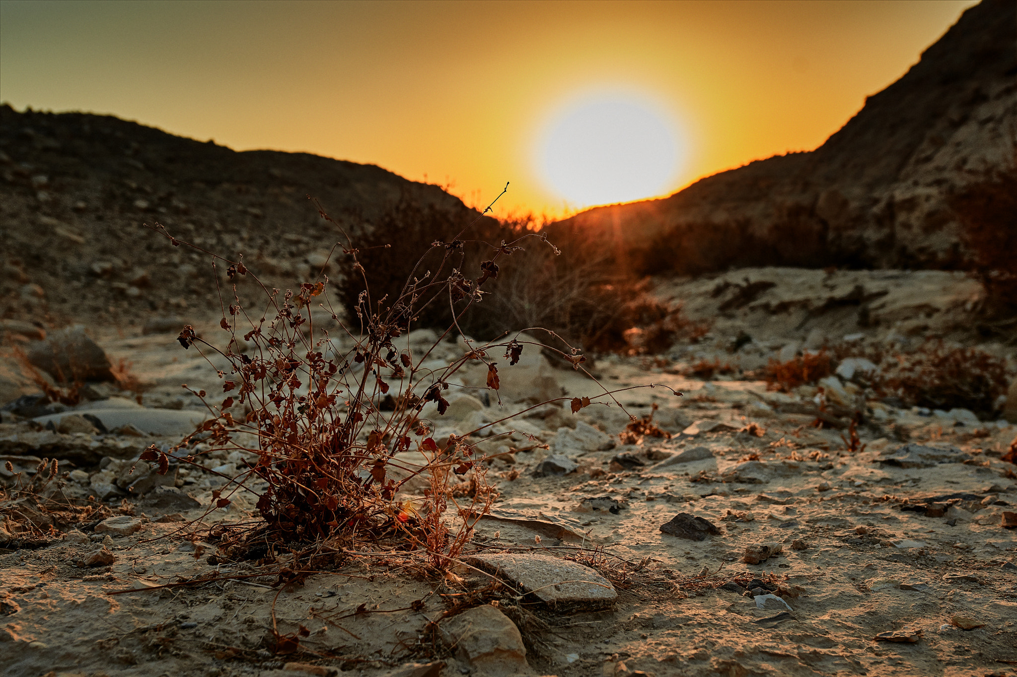 Nikon AF-S Nikkor 14-24mm F2.8G ED sample photo. Emek habulbusim photography