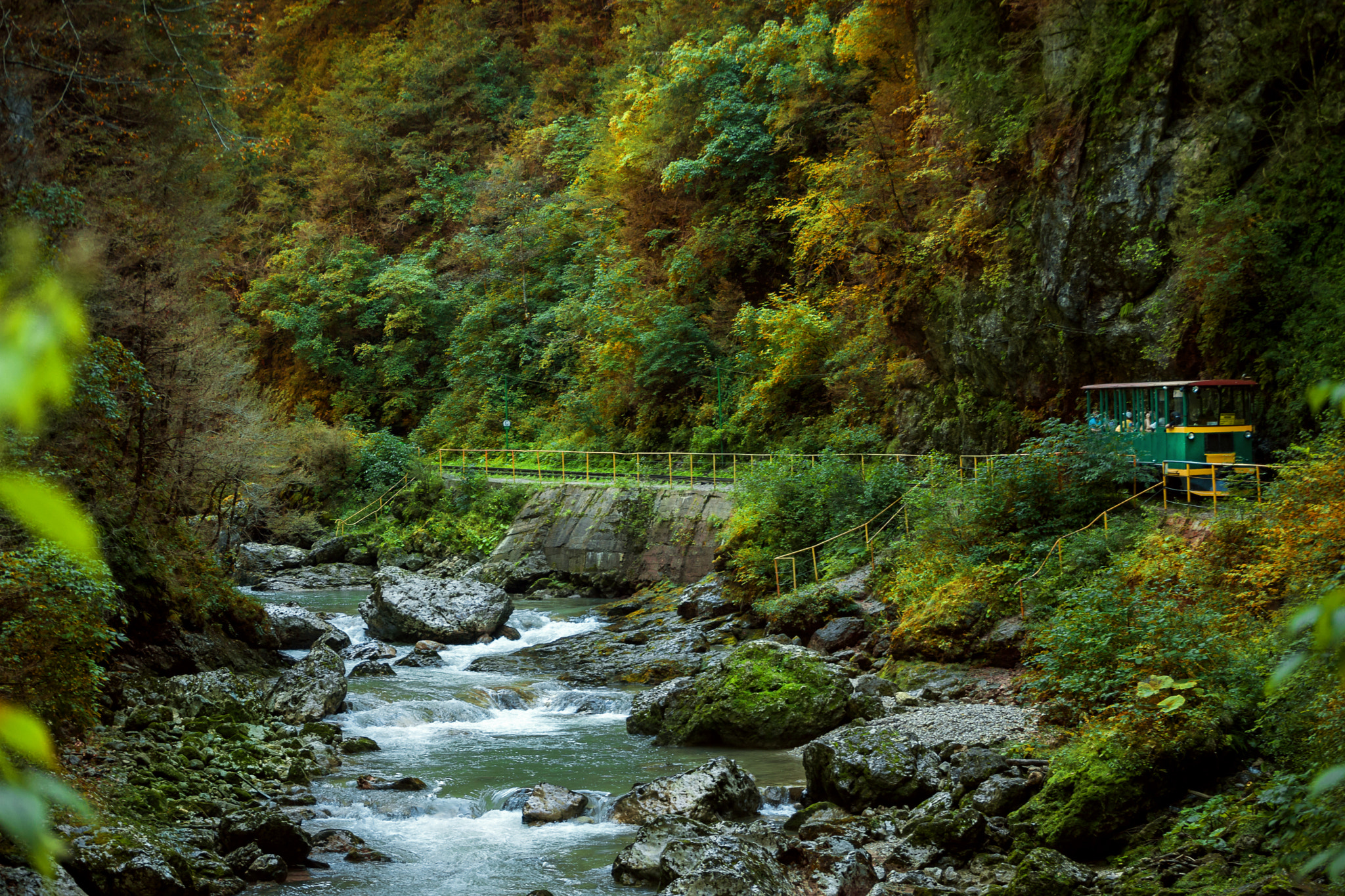 Canon EF 70-210mm f/3.5-4.5 USM sample photo. Train in the autumn photography