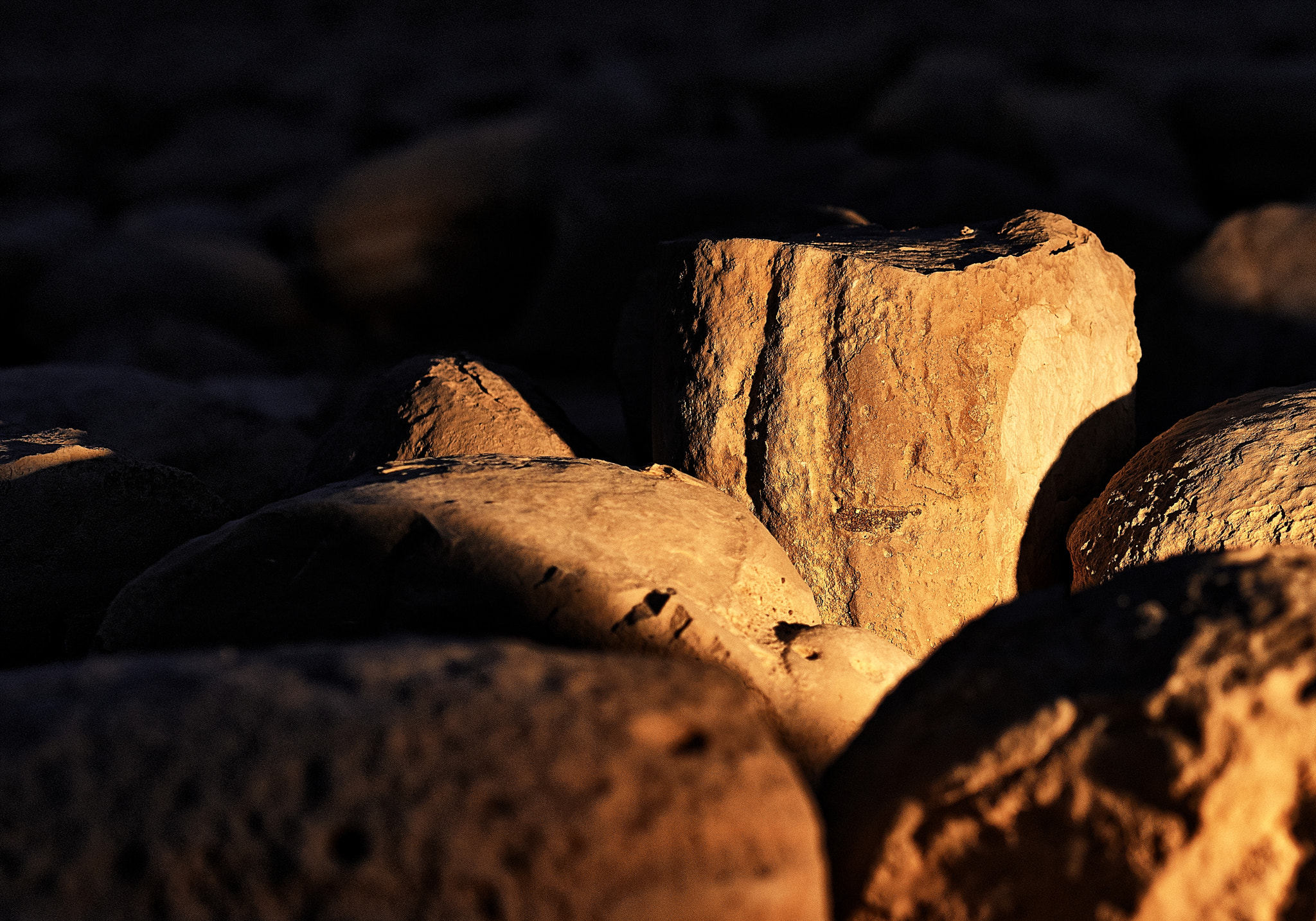 Nikon D500 sample photo. Emek habulbusim photography