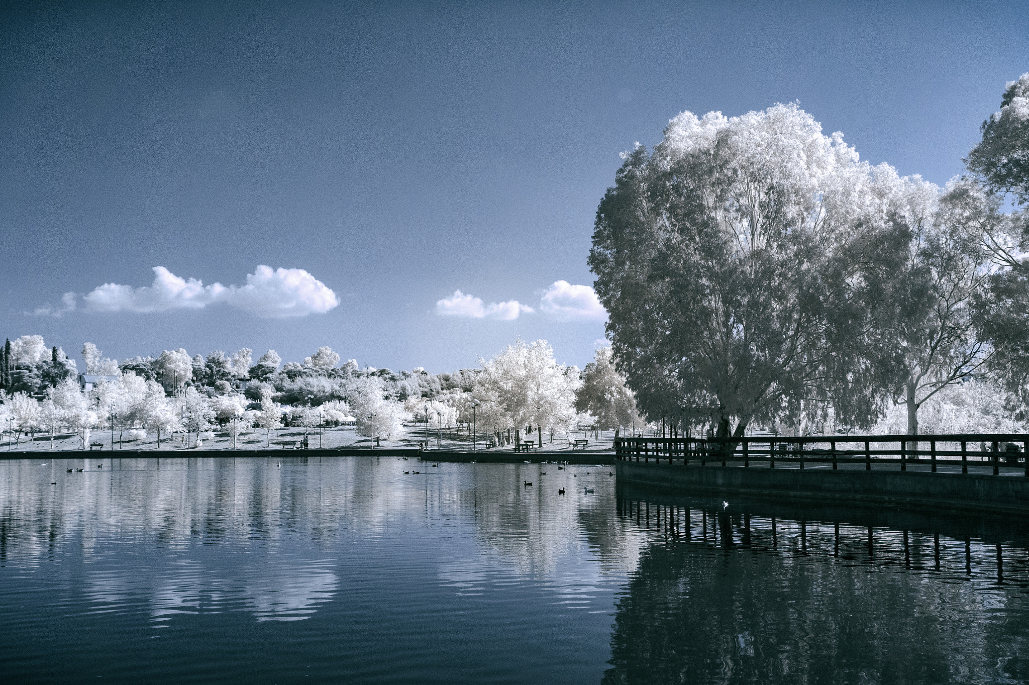 Sony E 16-50mm F3.5-5.6 PZ OSS sample photo. Morning scene by the pond photography