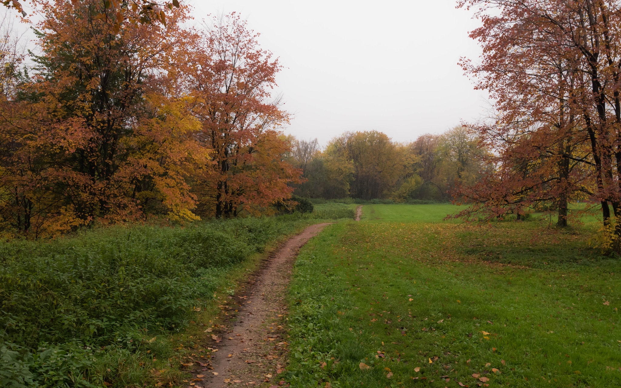 Panasonic Lumix DMC-GH4 + Olympus M.Zuiko Digital ED 7-14mm F2.8 PRO sample photo. Path stretches into the distance photography