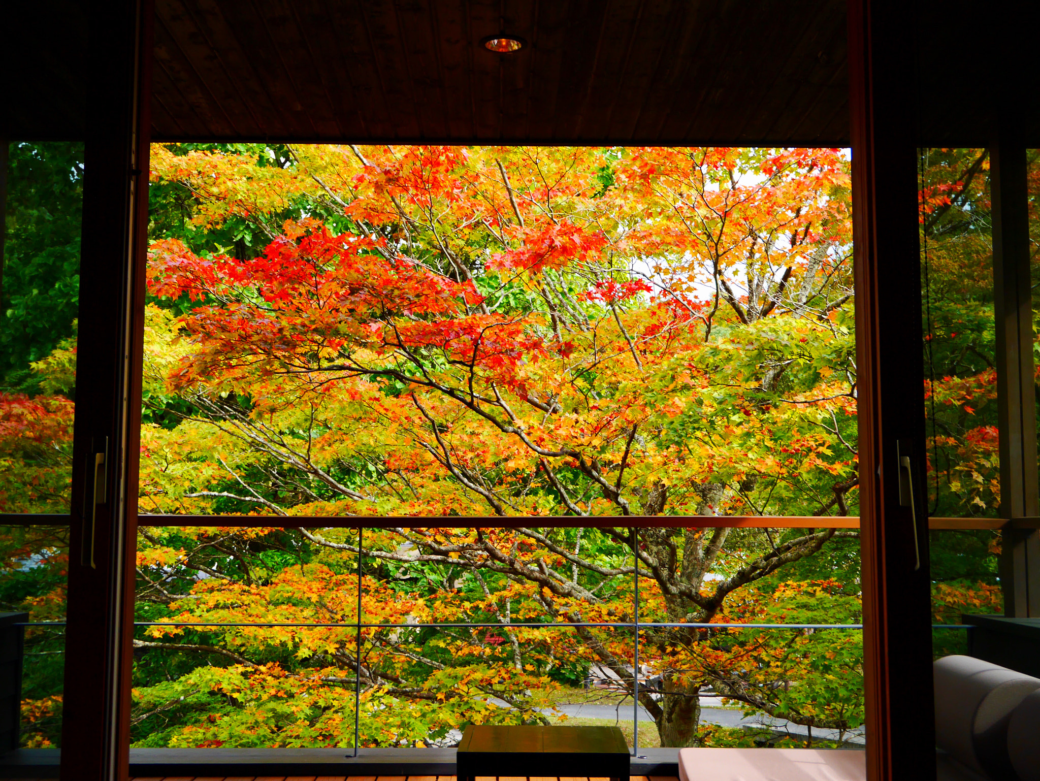 LUMIX G VARIO PZ 14-42/F3.5-5.6 sample photo. Autumn view photography