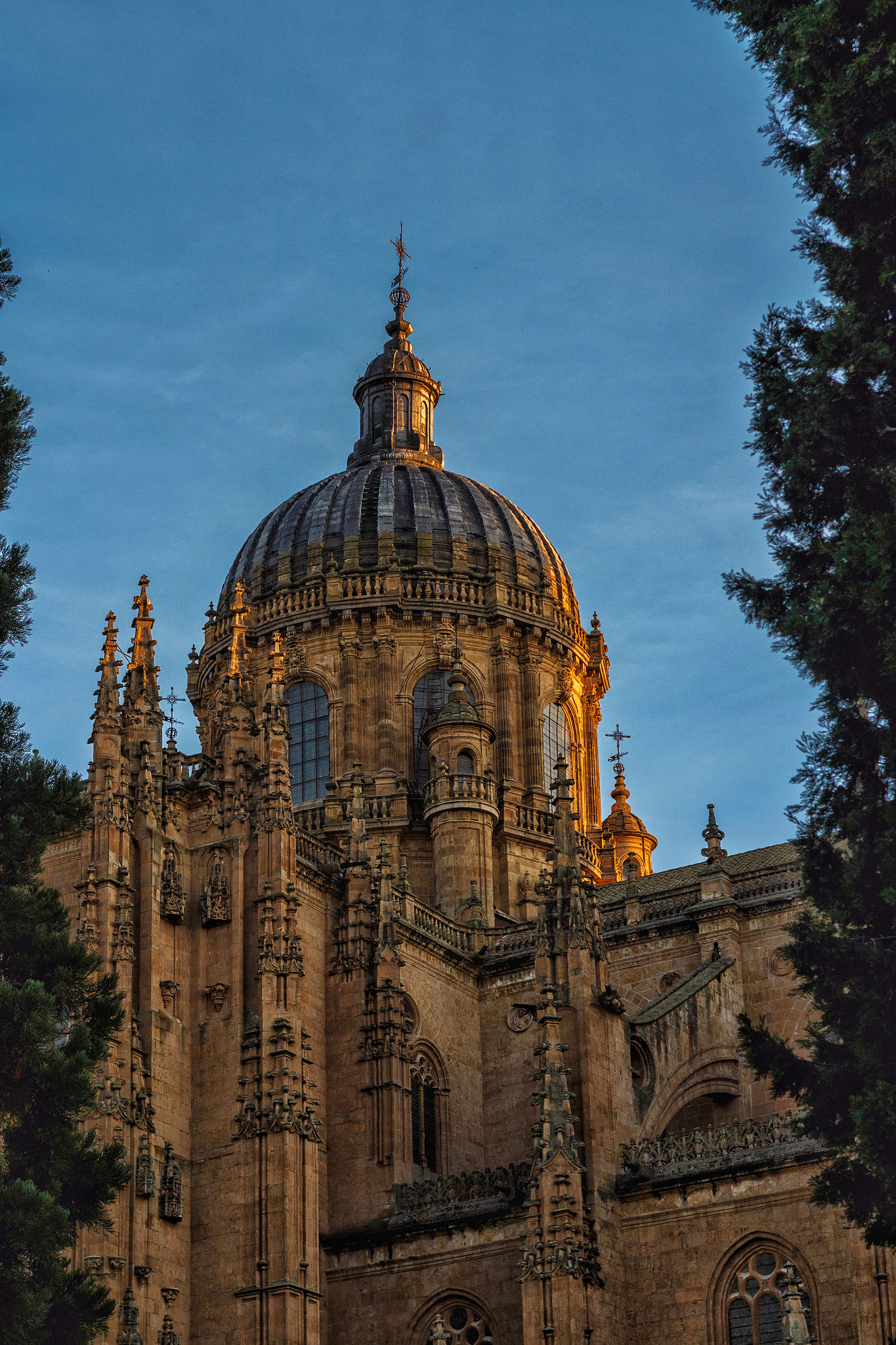 Canon EOS M + Canon EF 50mm F1.8 II sample photo. Luces en catedral de salamanca photography