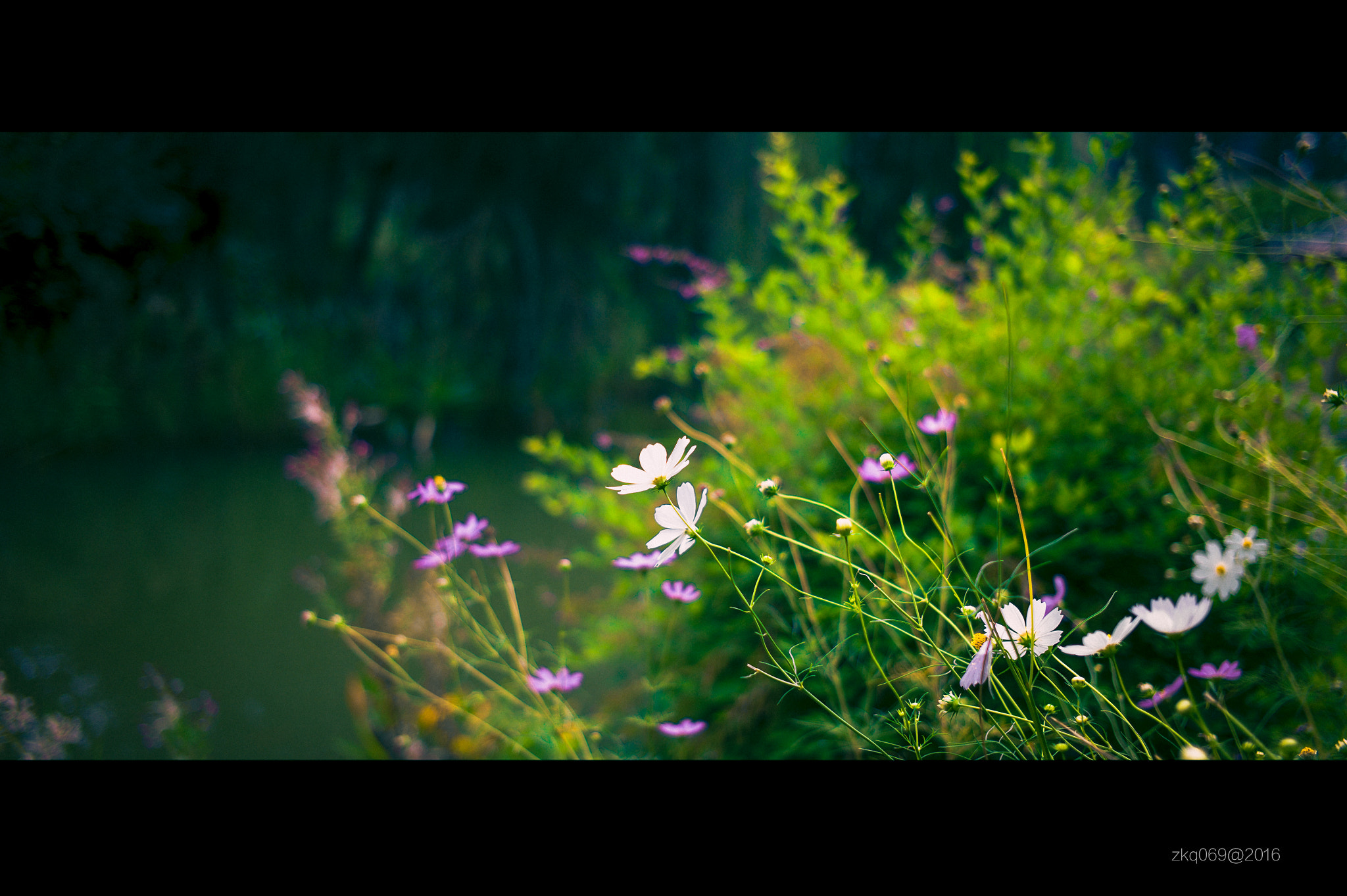 Leica M9 + Leica Summicron-M 35mm F2 ASPH sample photo