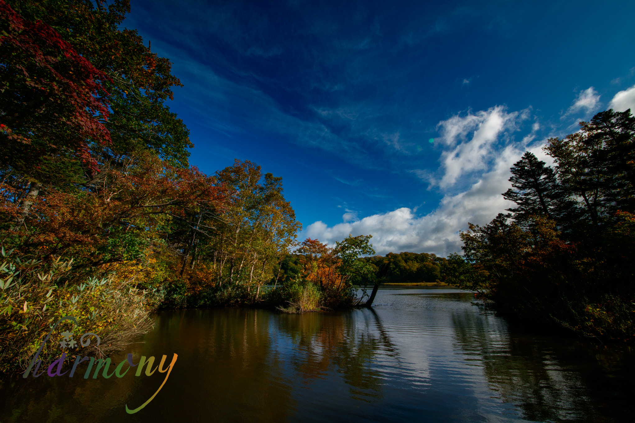 Sigma 12-24mm F4.5-5.6 II DG HSM sample photo. Dark side of the pond photography
