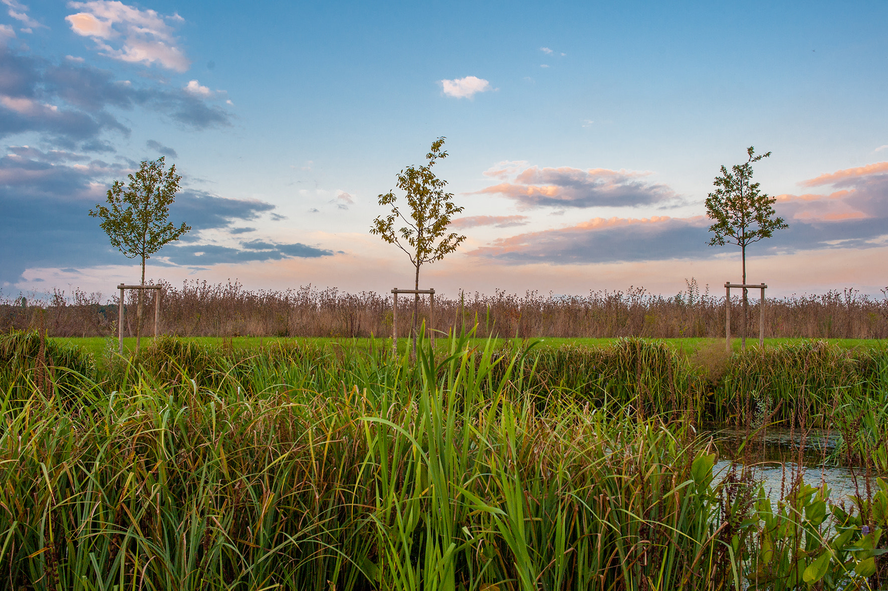 Nikon D700 + Nikon AF-S Nikkor 28mm F1.8G sample photo. Sundown photography