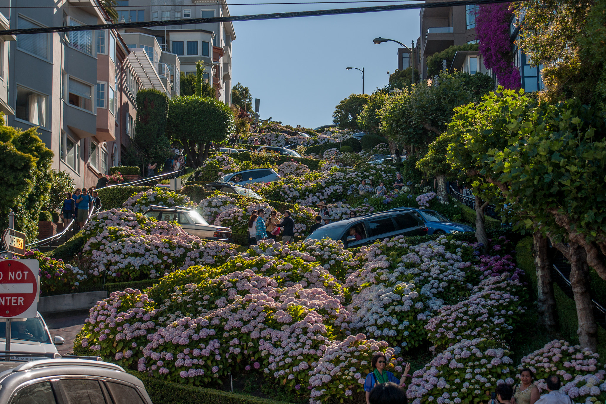 Sony Alpha DSLR-A700 sample photo. Lombard street in san francisco photography