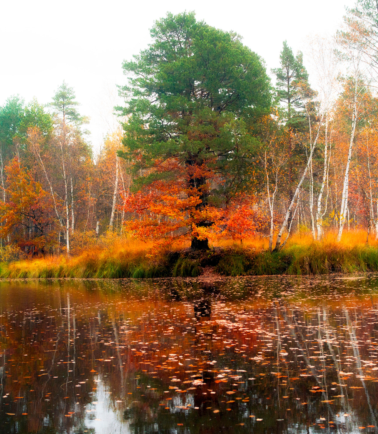 Nikon D7000 sample photo. Autumn on pra photography