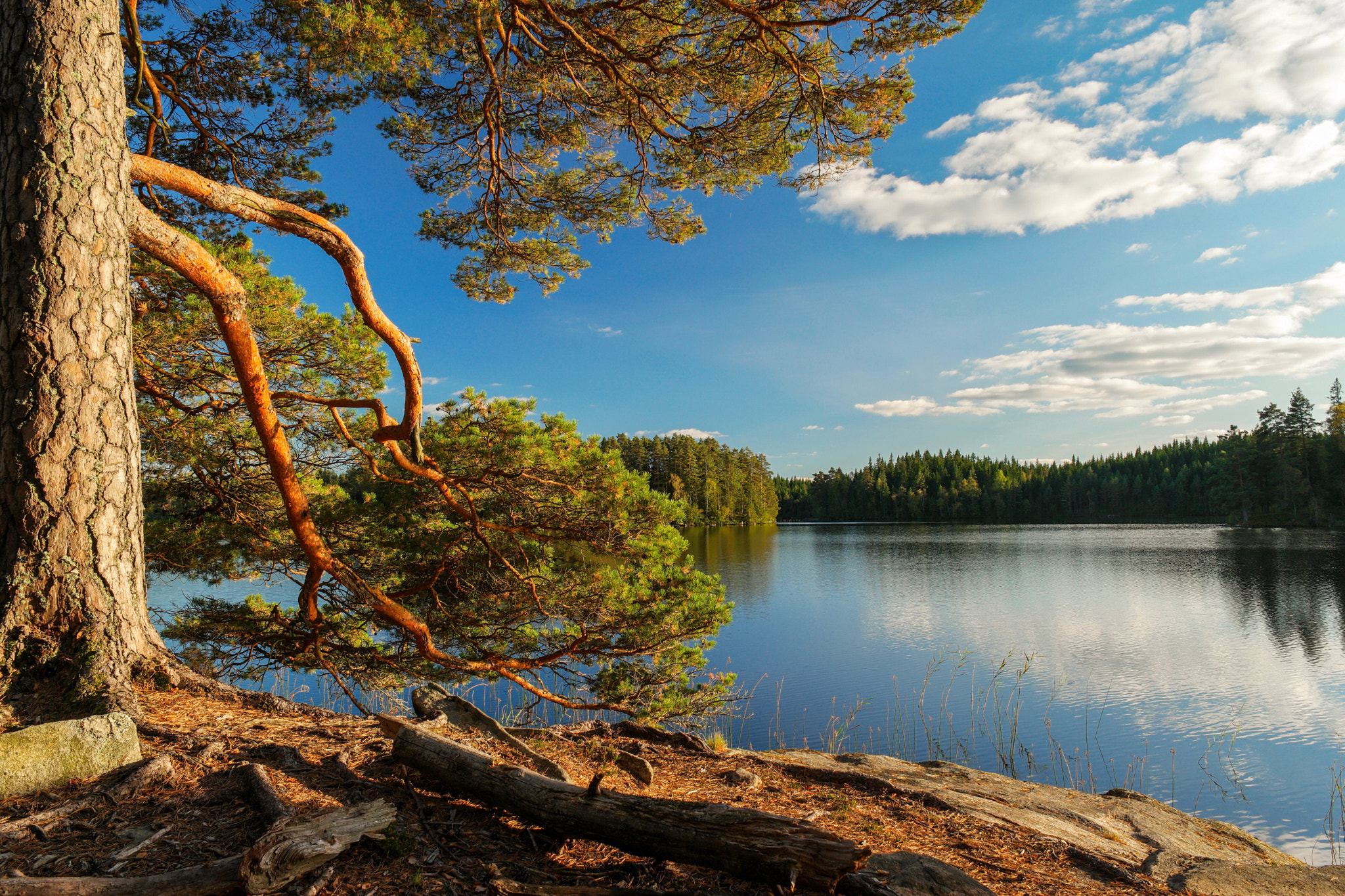 Saumsun NX 16-50mm F2-2.8 S ED OIS sample photo. Camp photography