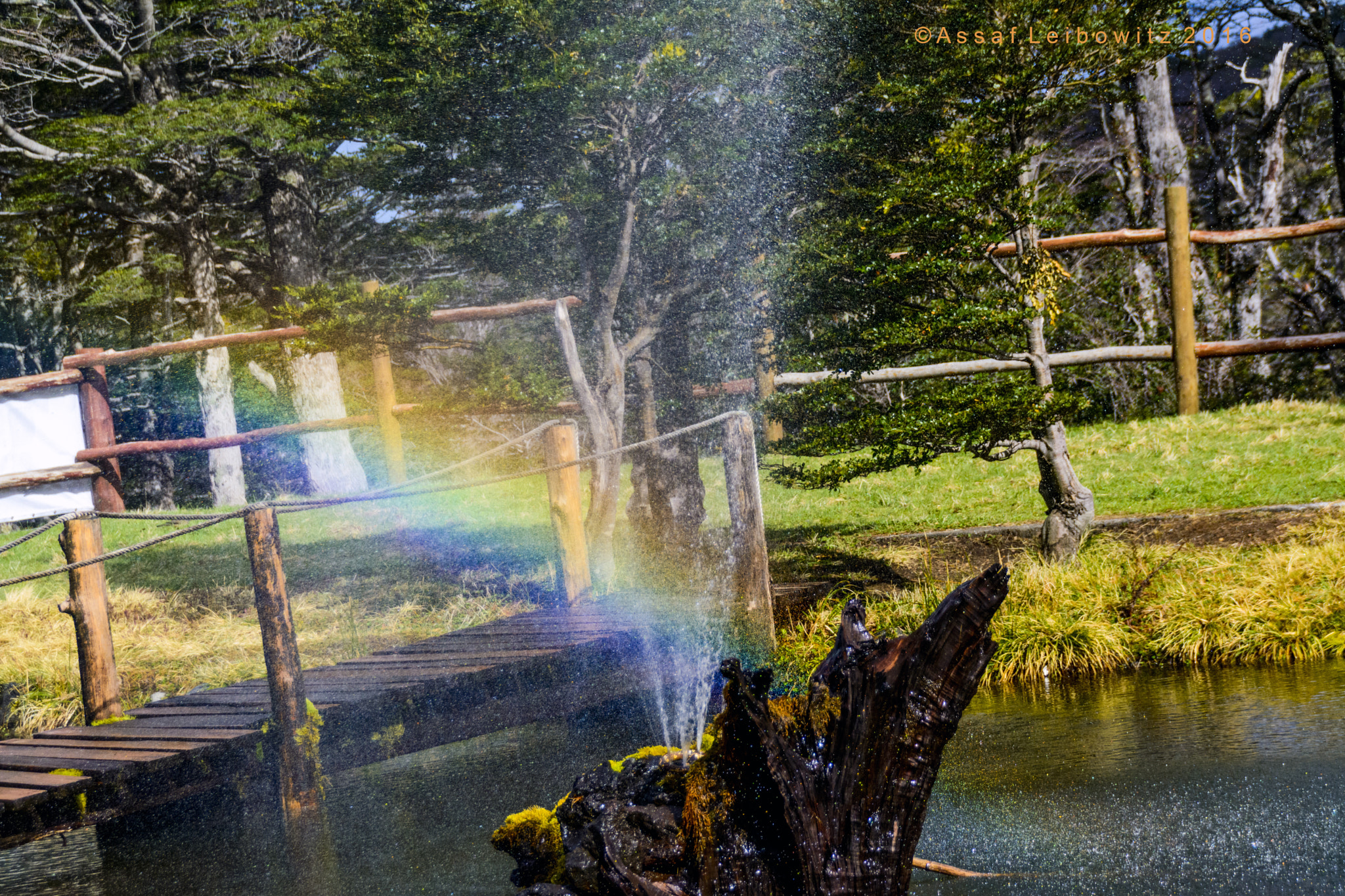 Sigma 18-250mm F3.5-6.3 DC Macro OS HSM sample photo. Arcoiris photography