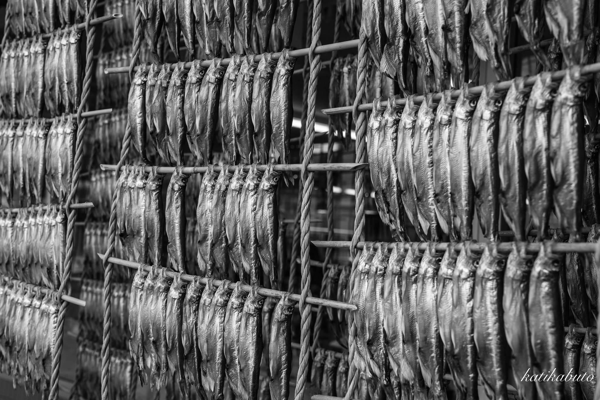Sony a7 II sample photo. Dried fish photography
