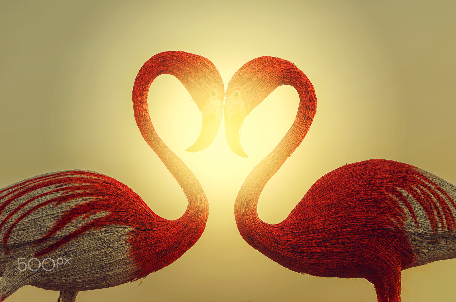 Sigma 17-70mm F2.8-4 DC Macro HSM | C sample photo. Lover egret bird from straw, valentine love concept photography