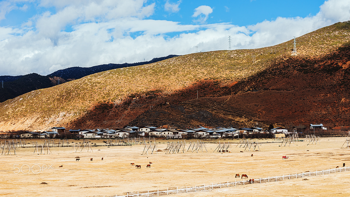 Sony a99 II + Minolta/Sony AF 70-200mm F2.8 G sample photo. The yila grassland and tne tibetan village photography