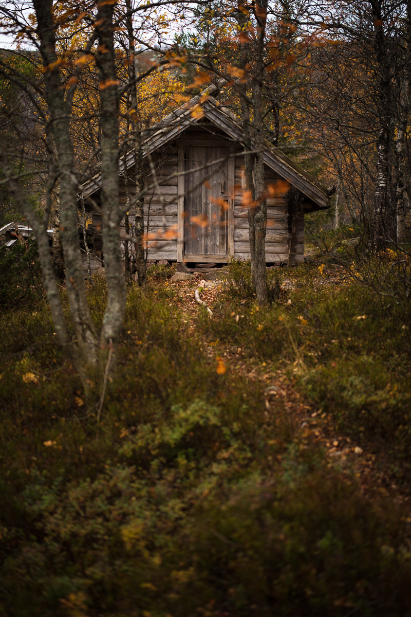 Canon EOS 5DS R + ZEISS Otus 55mm F1.4 sample photo. Fulufjället höst iii photography