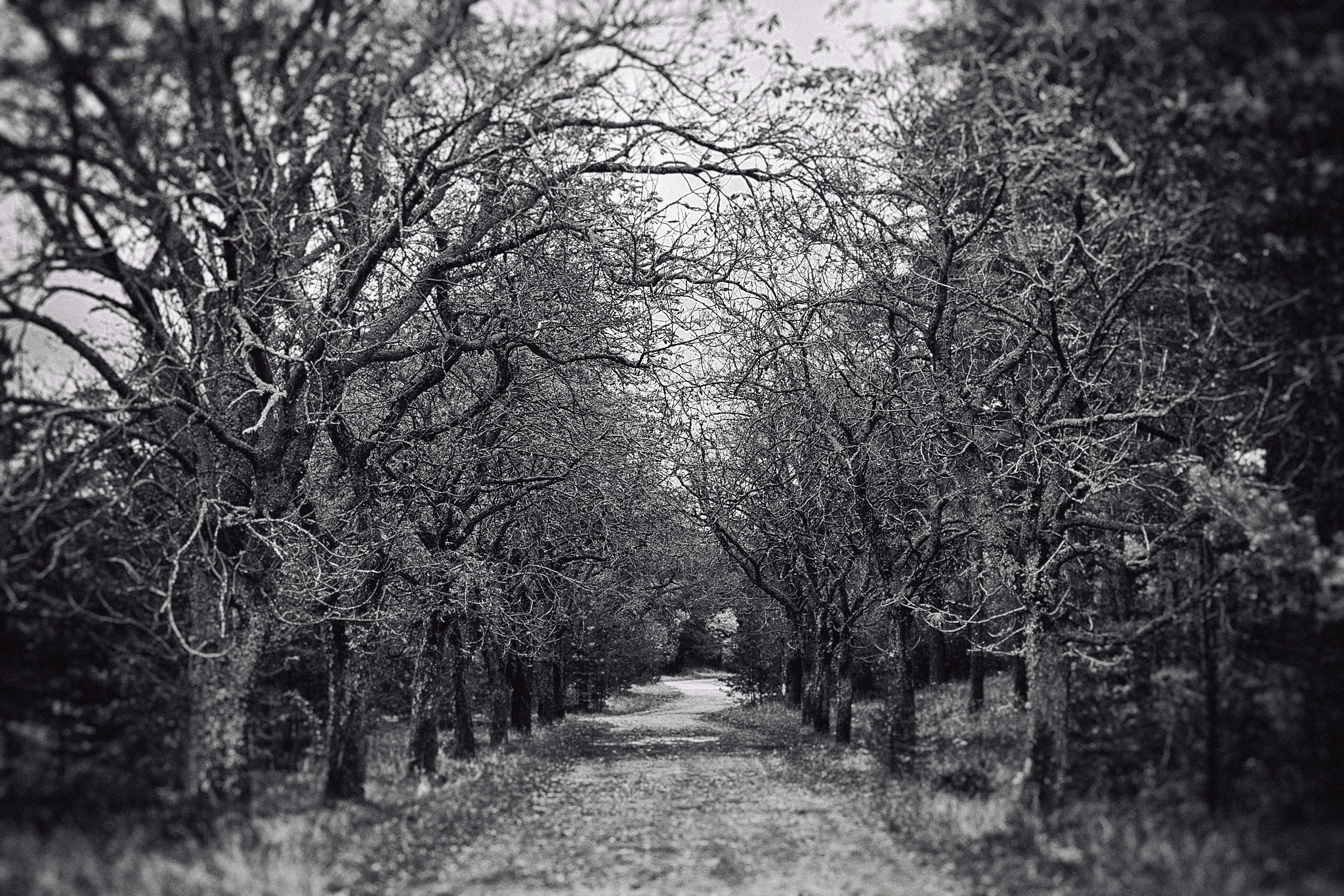Canon EOS 60D + Canon EF 35mm F2 sample photo. Alley photography