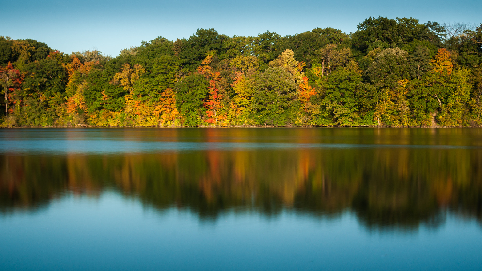 Sony Alpha DSLR-A700 + 24mm F2.8 sample photo. 10-10-2016 the changing of the leaves photography