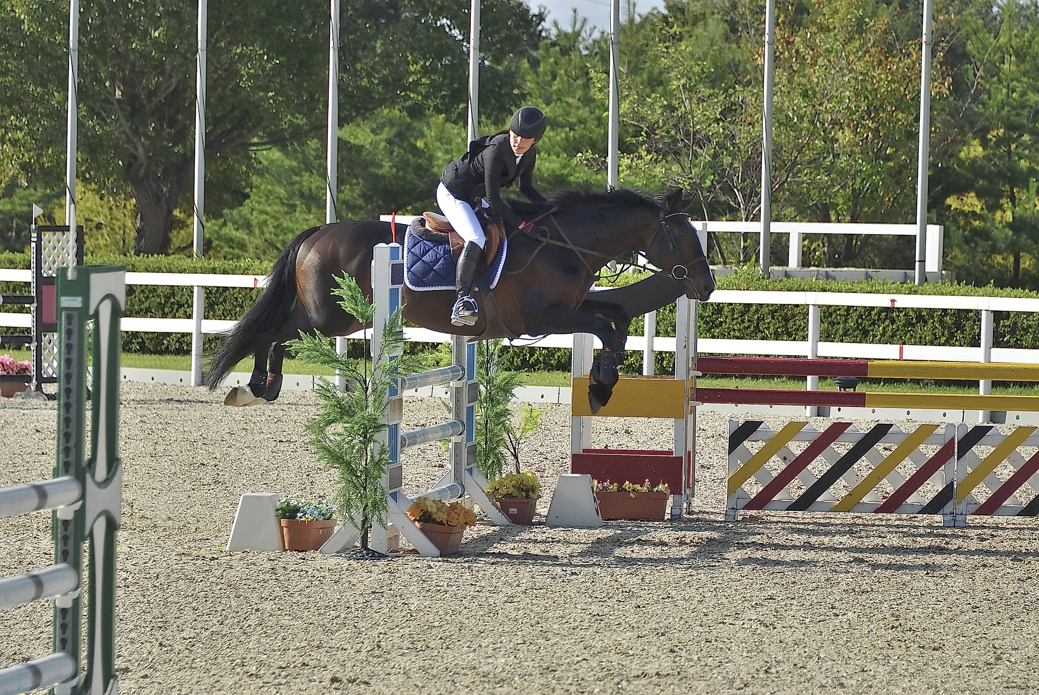Nikon D200 sample photo. Equestrian failure jumping competition photography