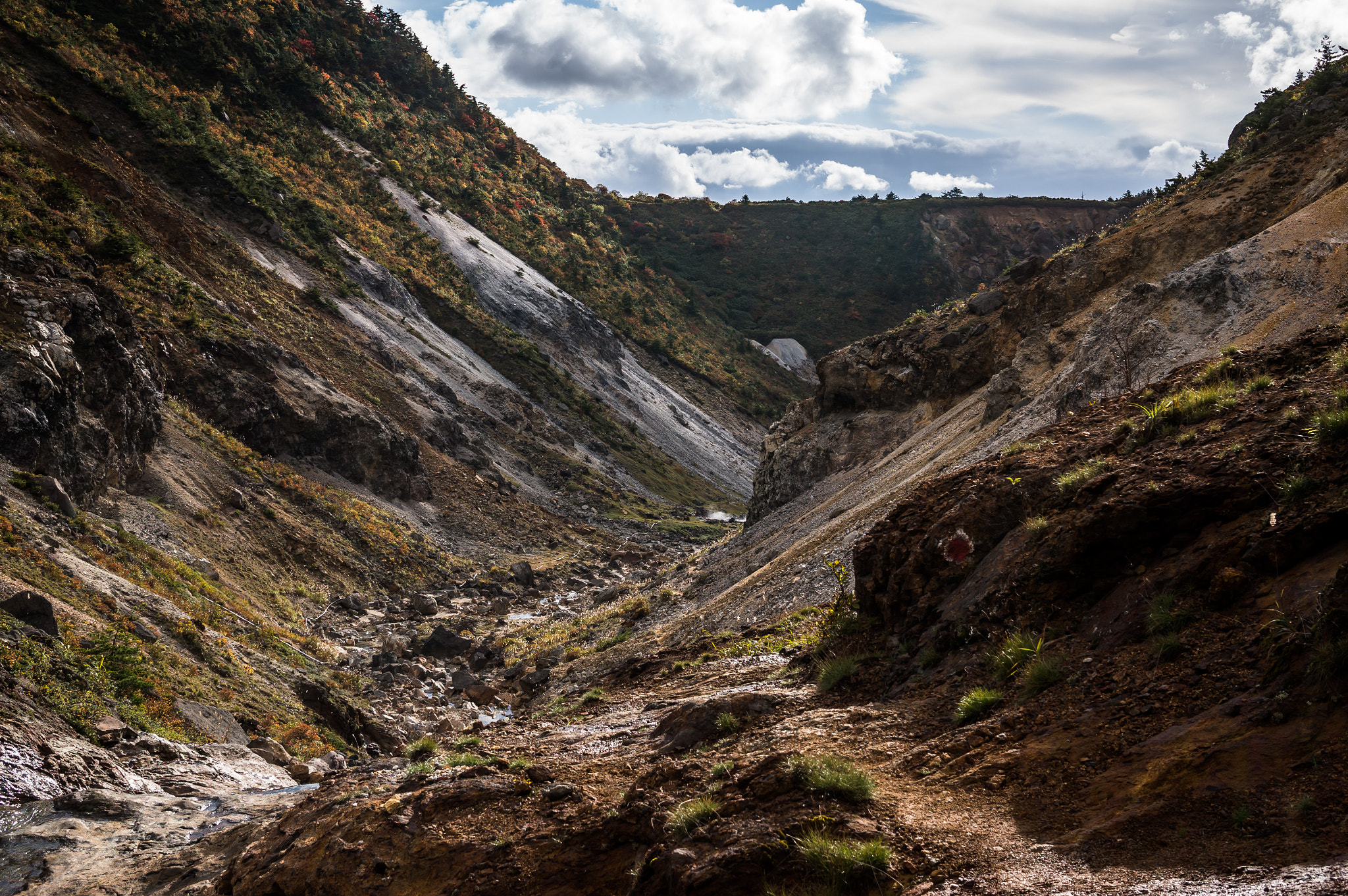 Sony Alpha NEX-5R + Sigma 30mm F2.8 EX DN sample photo. Mt.adatara photography