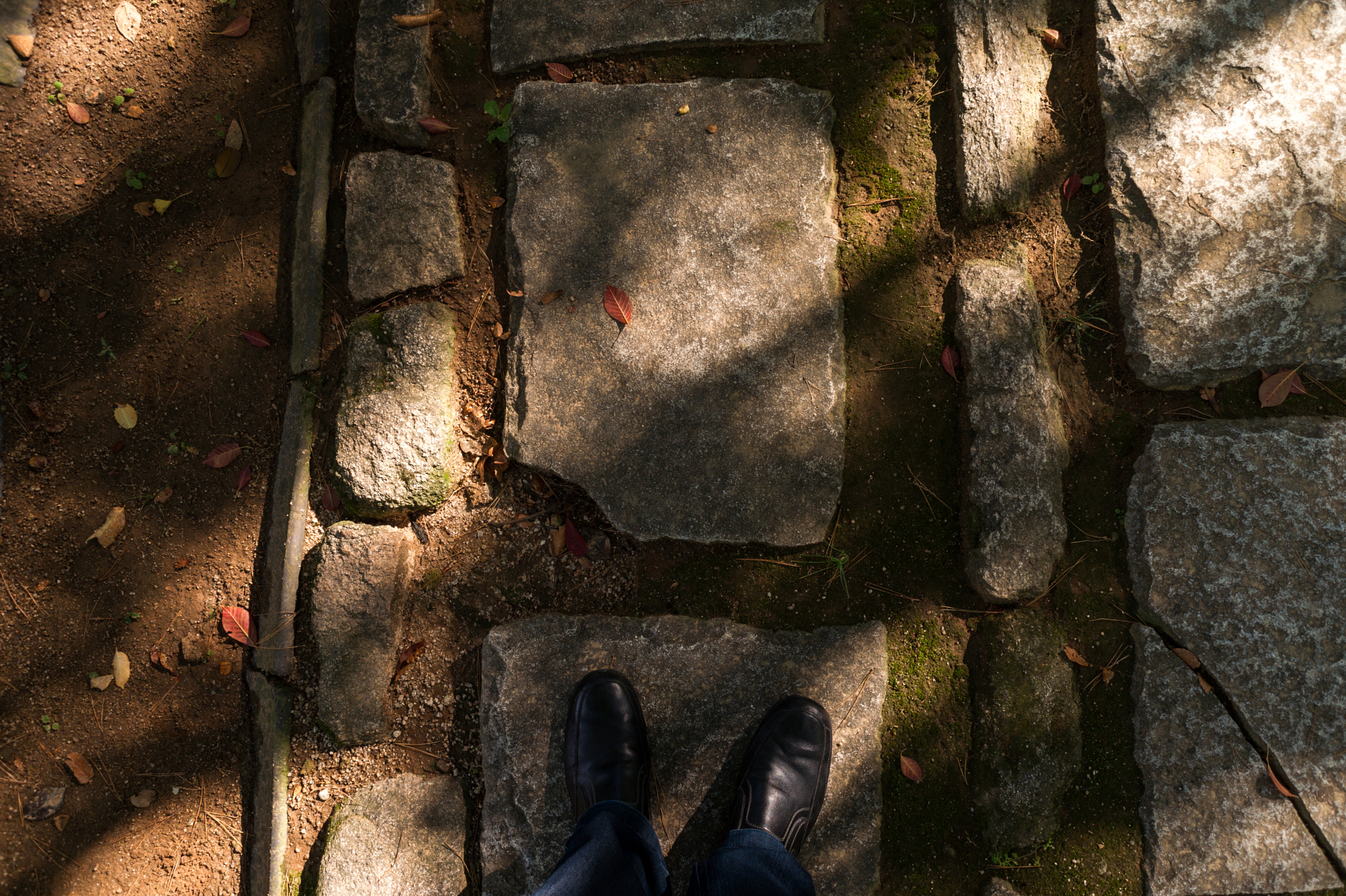 Sony Alpha DSLR-A850 + Minolta AF 24-50mm F4 sample photo. Me, myself photography