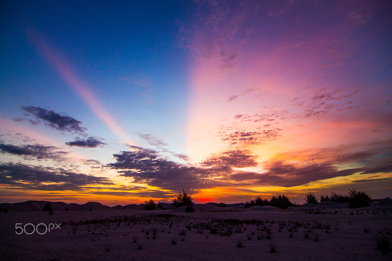 Tokina AT-X Pro 12-24mm F4 (IF) DX sample photo. Everything is linked, just like human bones photography