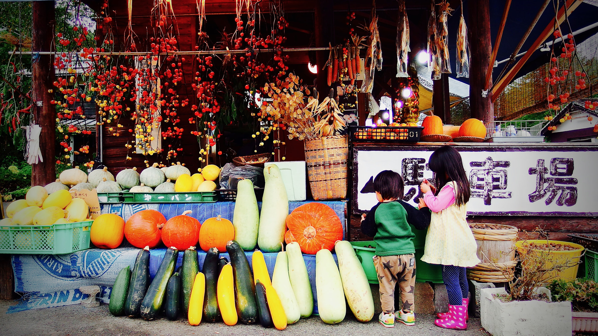 PENTAX RICOH IMAGING PENTAX MX-1 sample photo. Farmer's store photography