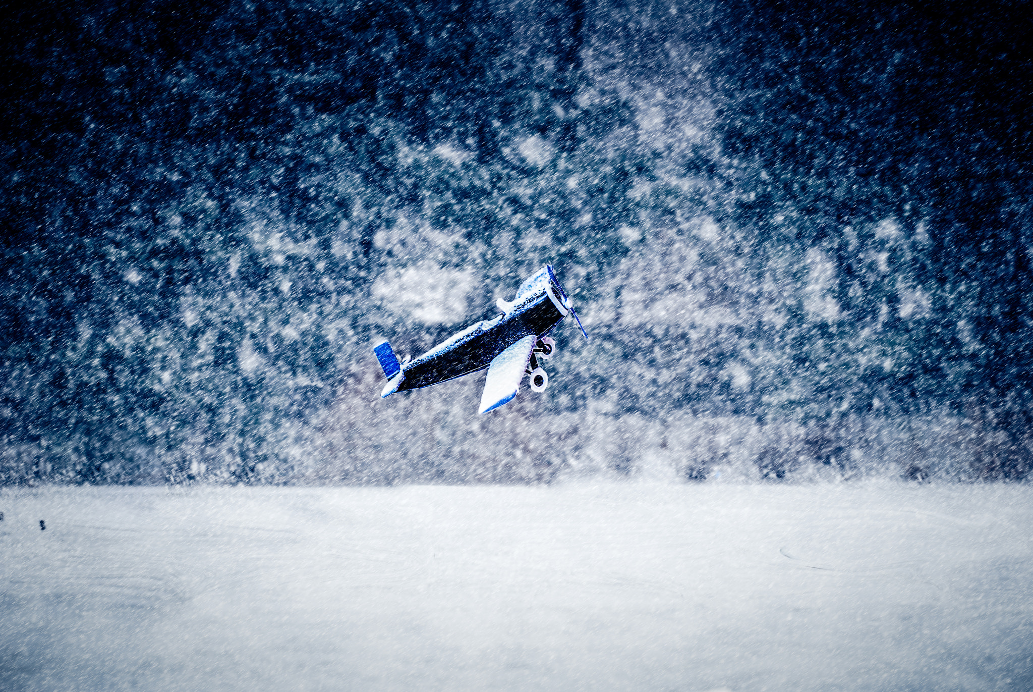 Nikon D40X sample photo. Fly away... photography