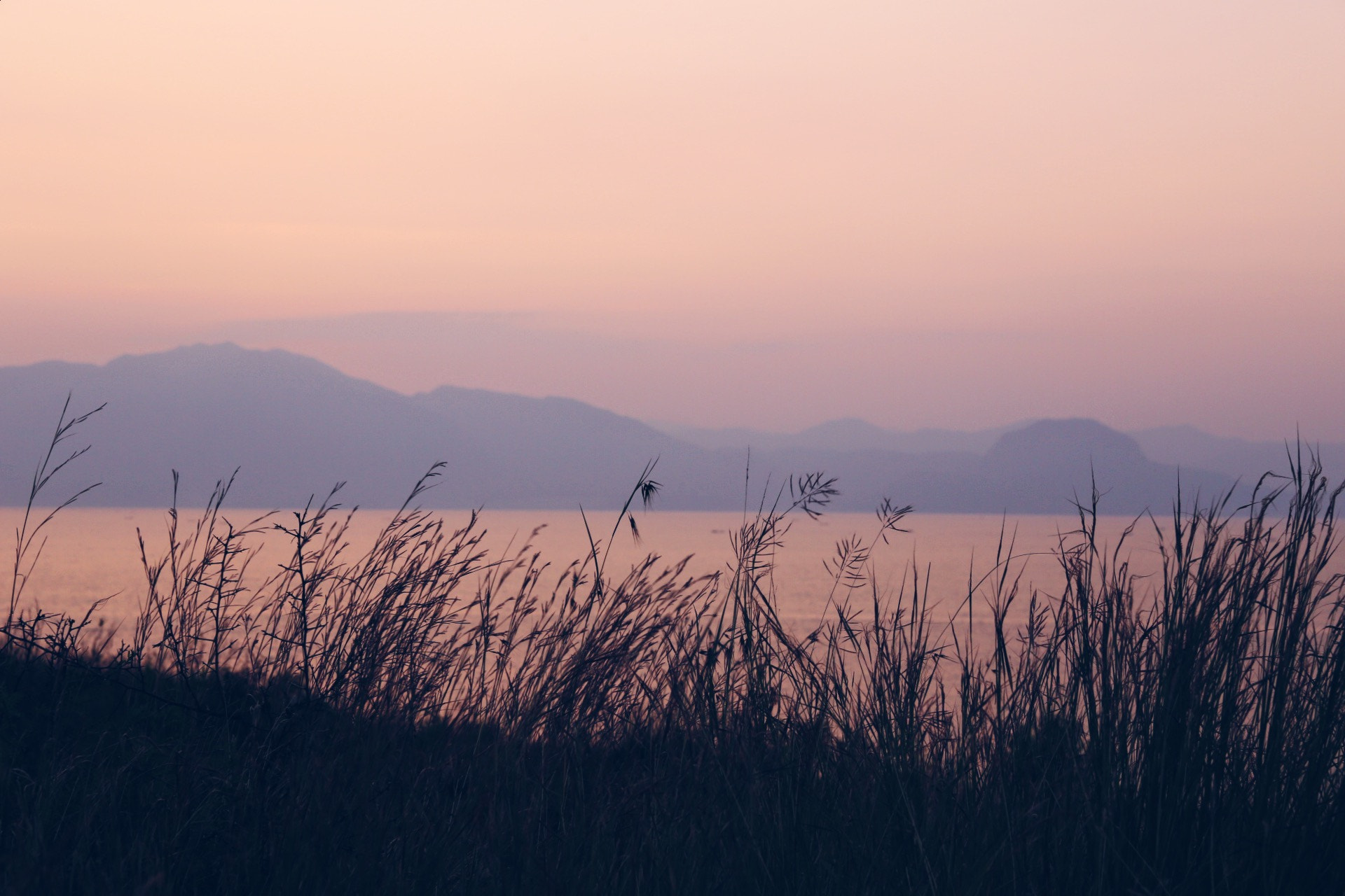Canon EF 24-70mm F2.8L II USM sample photo