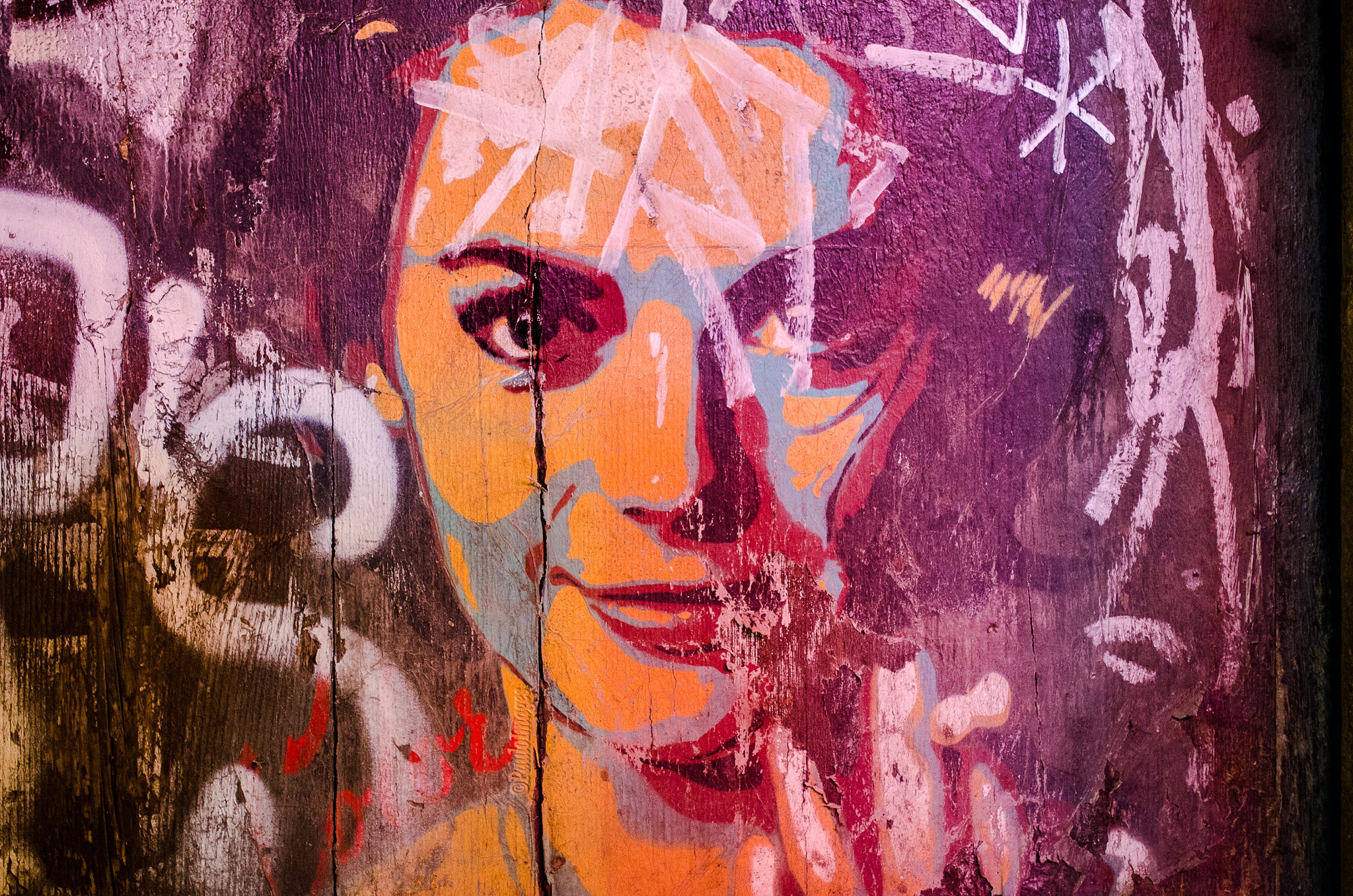 Nikon D7000 sample photo. More wall art from barcelona. photography