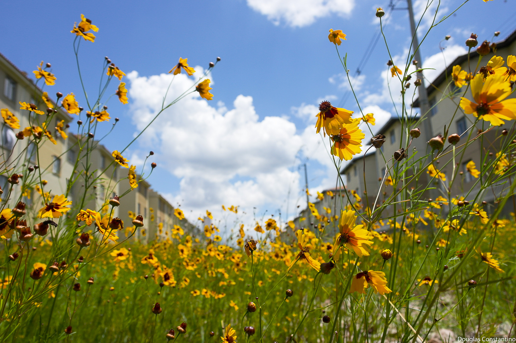 Samsung NX100 sample photo. Sam photography
