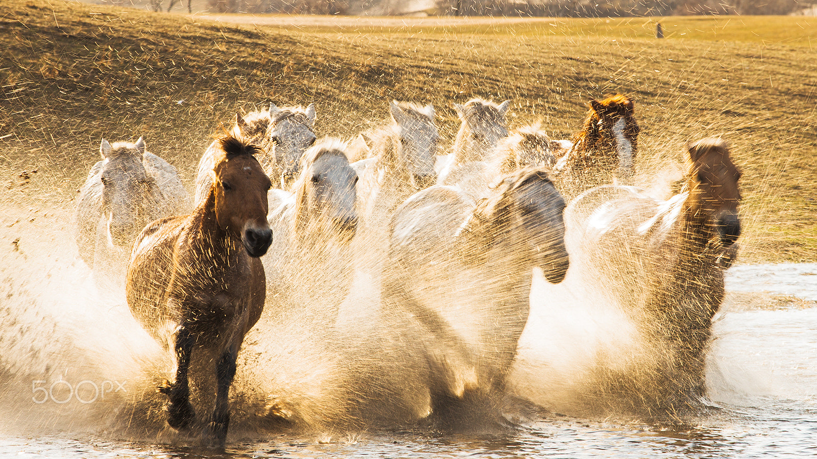 Canon EF 70-200mm F2.8L USM sample photo. Run！ photography