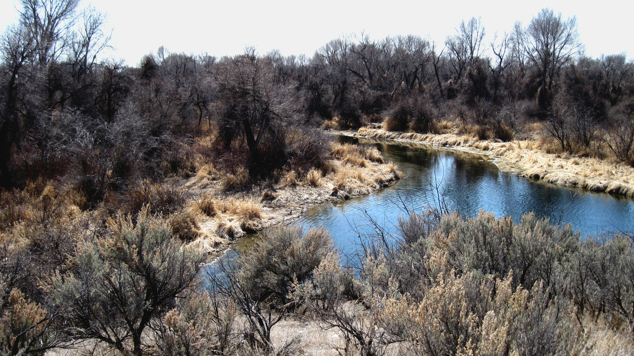 Canon PowerShot A1100 IS sample photo. A fork in the river photography