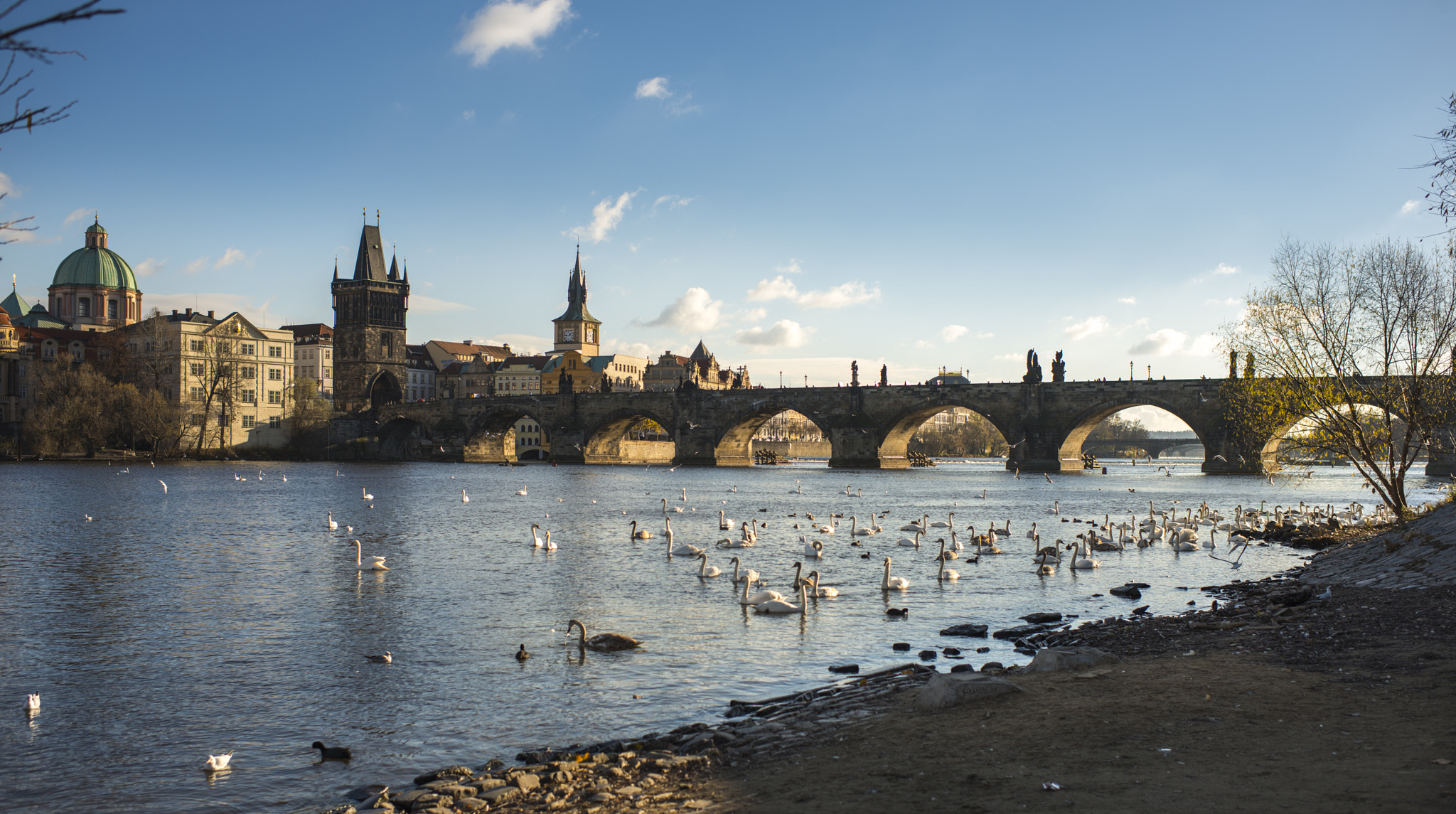 Nikon D800 + Nikon AF-S Nikkor 35mm F1.4G sample photo. The way before charles bridge photography
