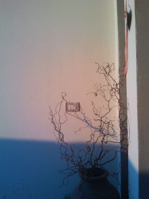 Samsung Galaxy S sample photo. Samsung photography