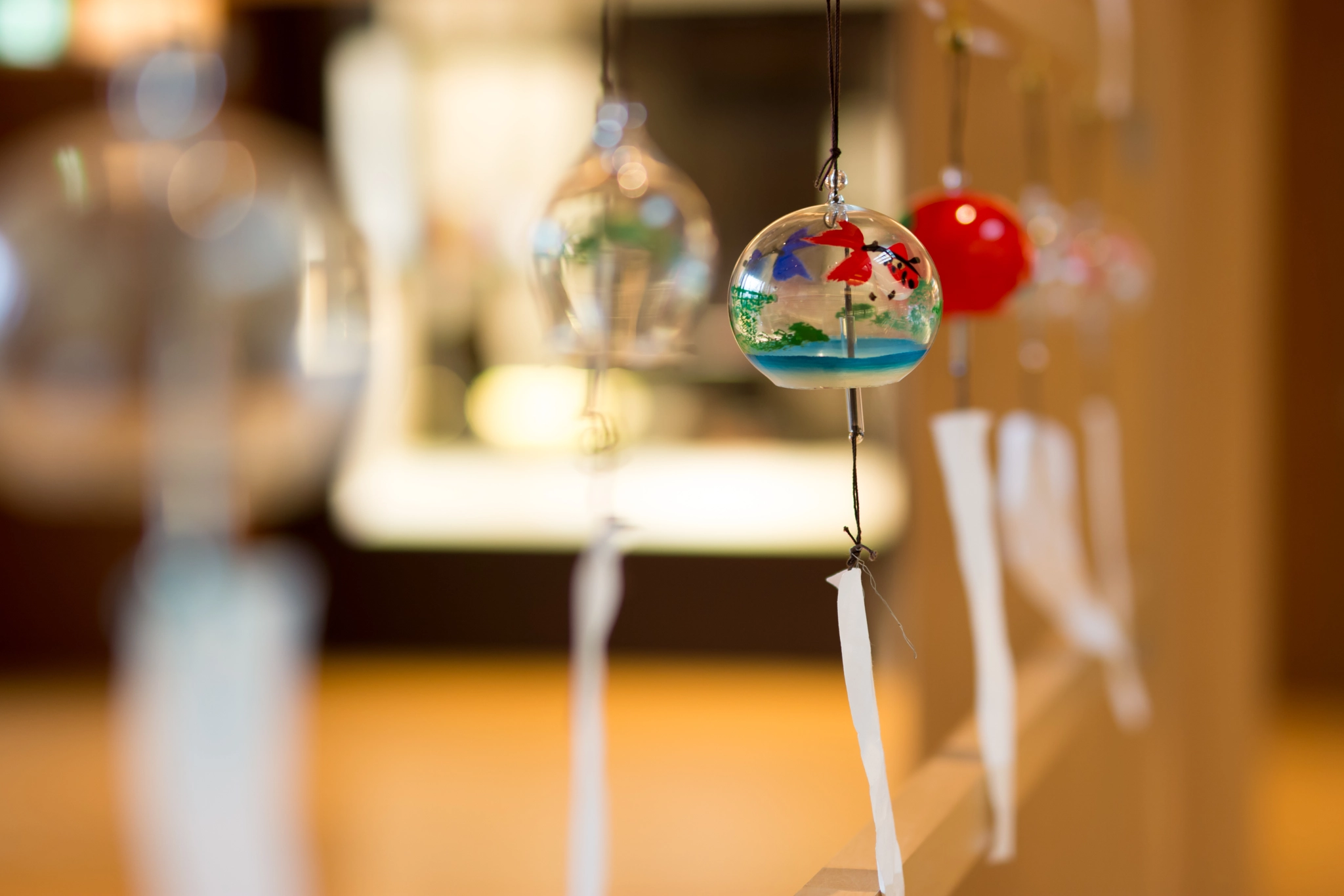 Nikon D7200 + Sigma 50mm F1.4 DG HSM Art sample photo. Fuurin photography