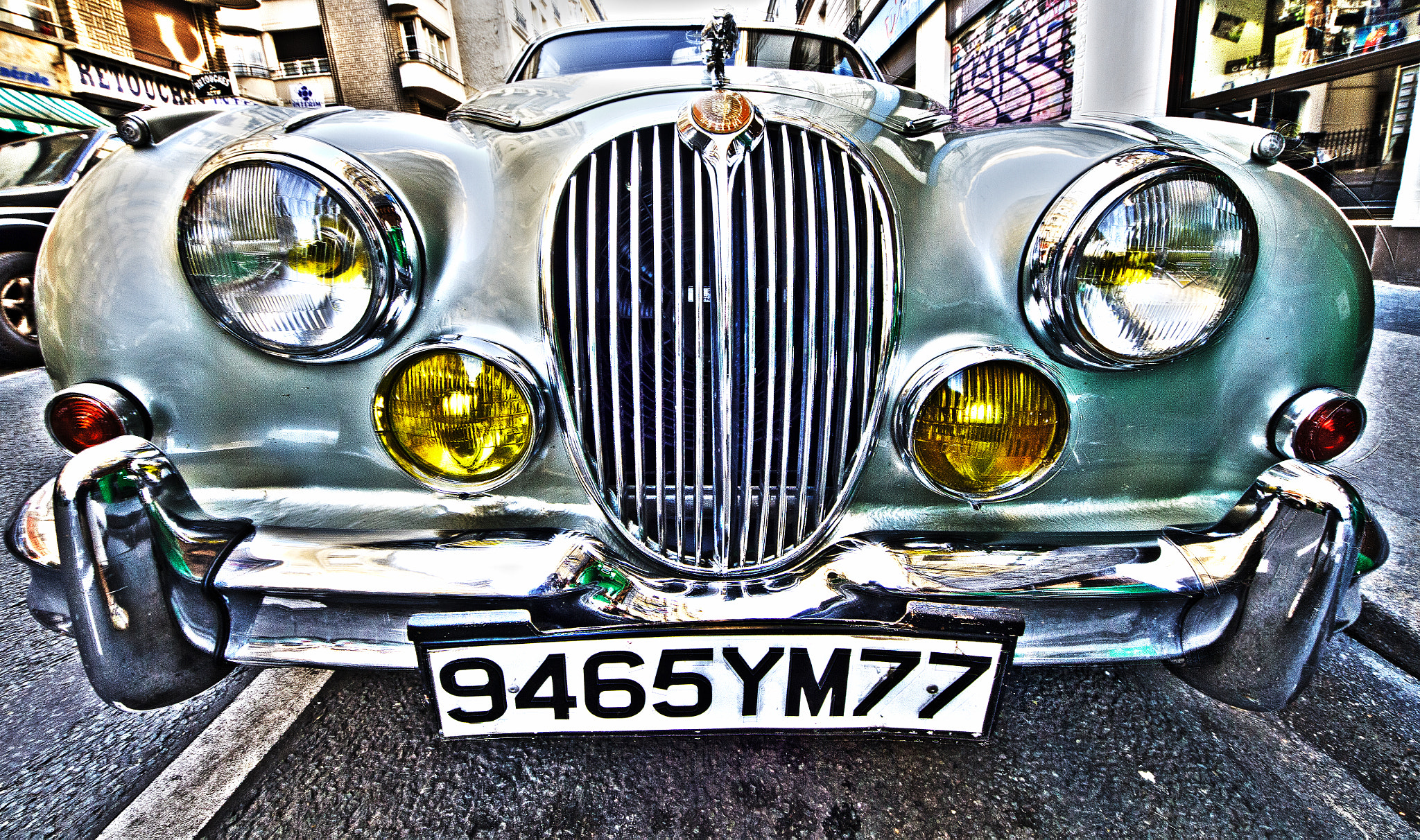 Sigma 8-16mm F4.5-5.6 DC HSM sample photo. Jaguar photography