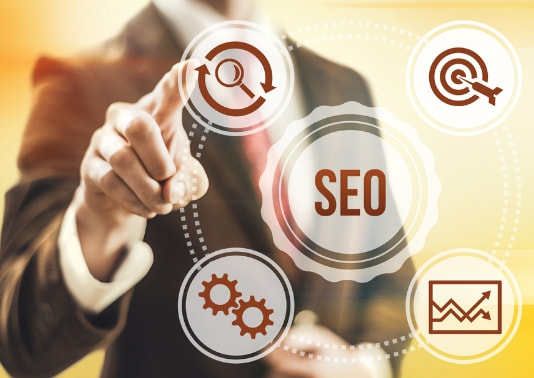 Tampa SEO