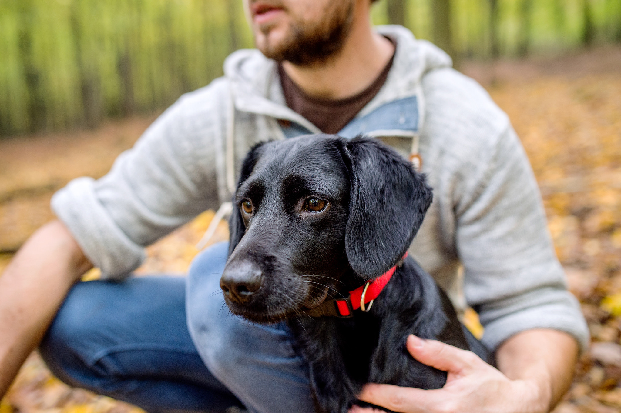 Nikon D4S + Sigma 35mm F1.4 DG HSM Art sample photo. Man on a walk with black dog in forest photography