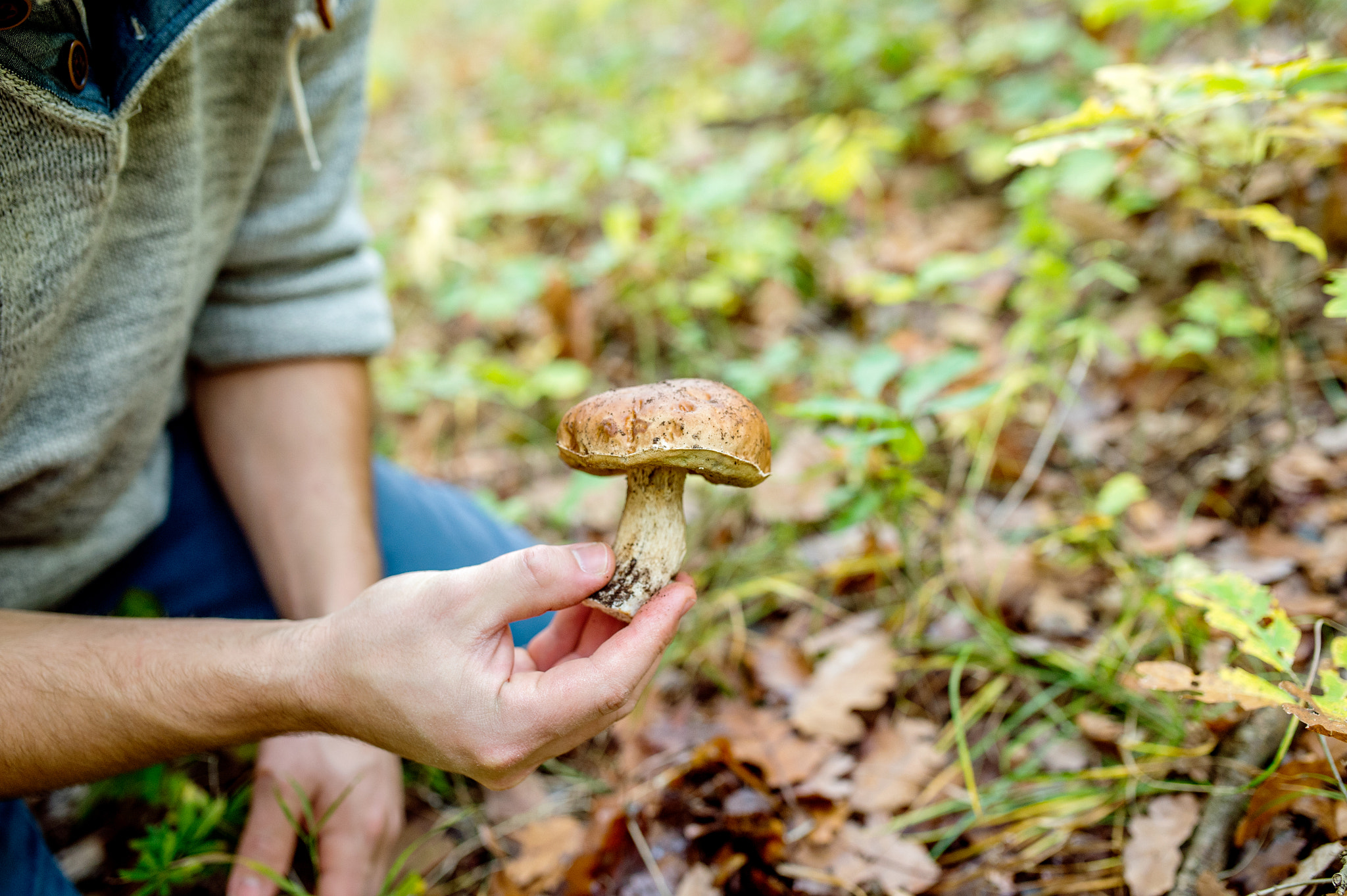Nikon D4S + Sigma 35mm F1.4 DG HSM Art sample photo. Unrecognizable young man picking mushrooms in autumn forest photography