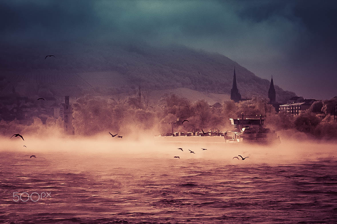 Nikon D70s sample photo. River rhine valley ii photography