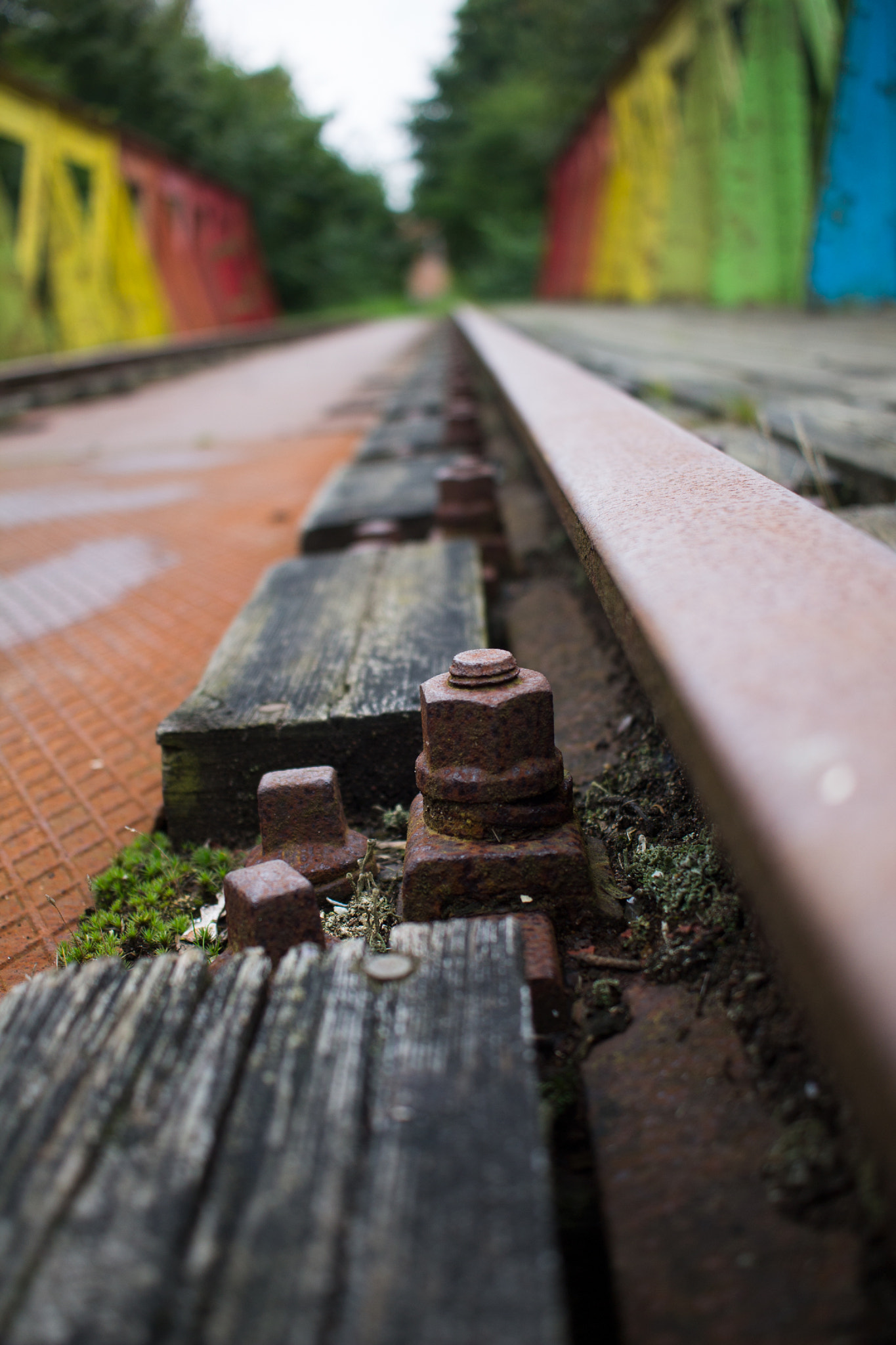 Canon EF-S 24mm F2.8 STM sample photo. Bolt photography