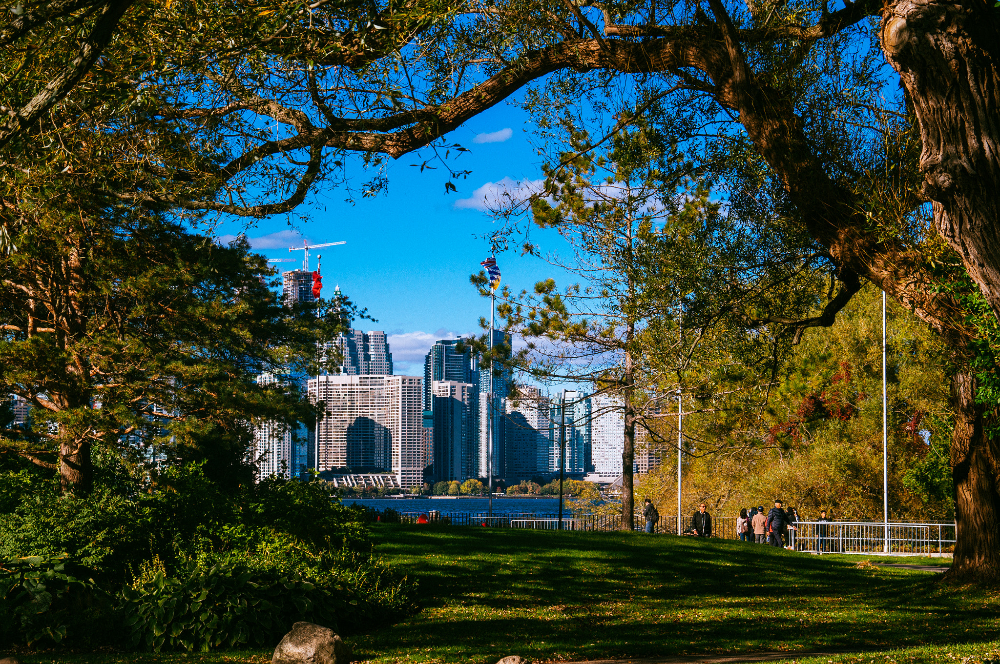 Sony E PZ 18-200mm F3.5-6.3 OSS sample photo. Sweet grass ontario - city in the woods photography