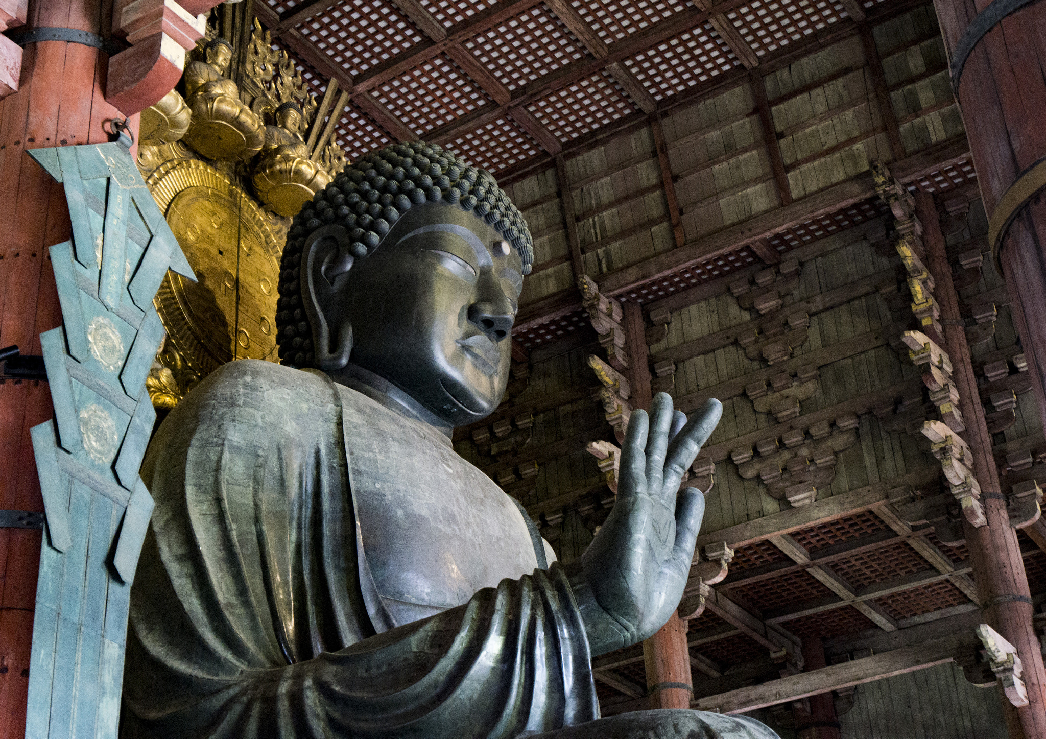 Sony a6000 + Sony Vario-Tessar T* FE 16-35mm F4 ZA OSS sample photo. Big buddha　tōdai-ji 大仏 photography